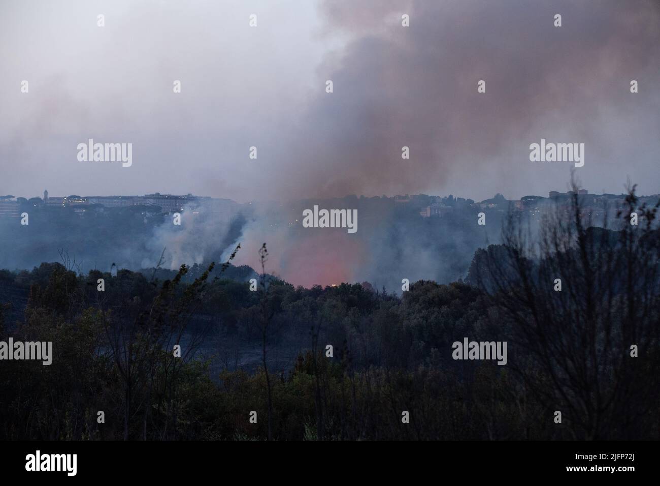 Parco pineto hi-res stock photography and images - Alamy