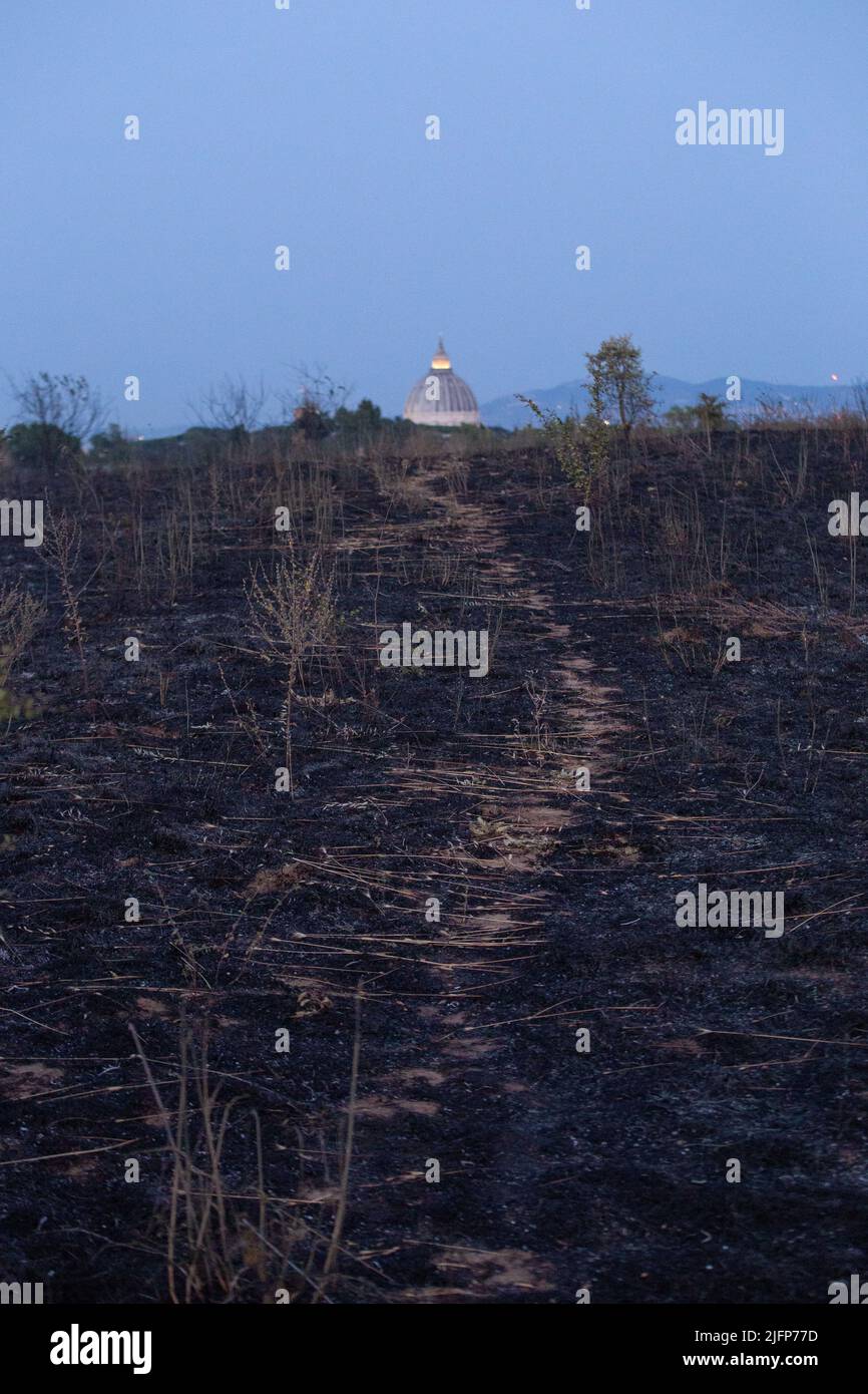 Parco pineto hi-res stock photography and images - Alamy