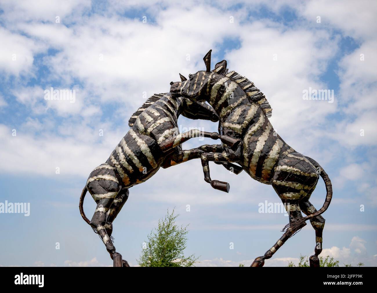 The British Ironwork Centre,  Zebra fighting Exhibit/Sculpture Stock Photo