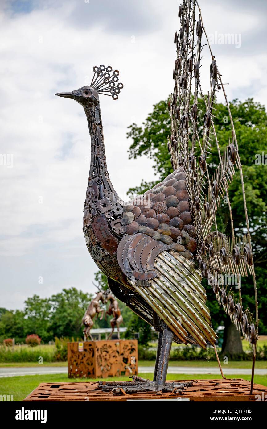 The British Ironwork Centre Peacock (Peafowl) Exhibit/Sculpture Stock Photo Alamy