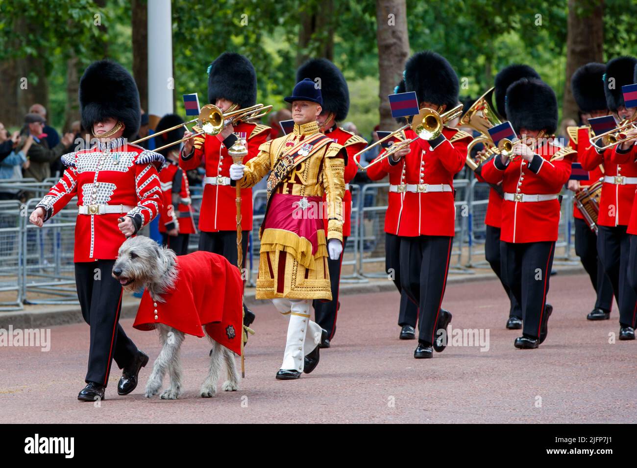 Seamus Irish wolfhound with Guardsman Adam Walsh leads the Irish Guards Band at Trooping the Colour, Colonel’s Review in The Mall, London, England, Un Stock Photo