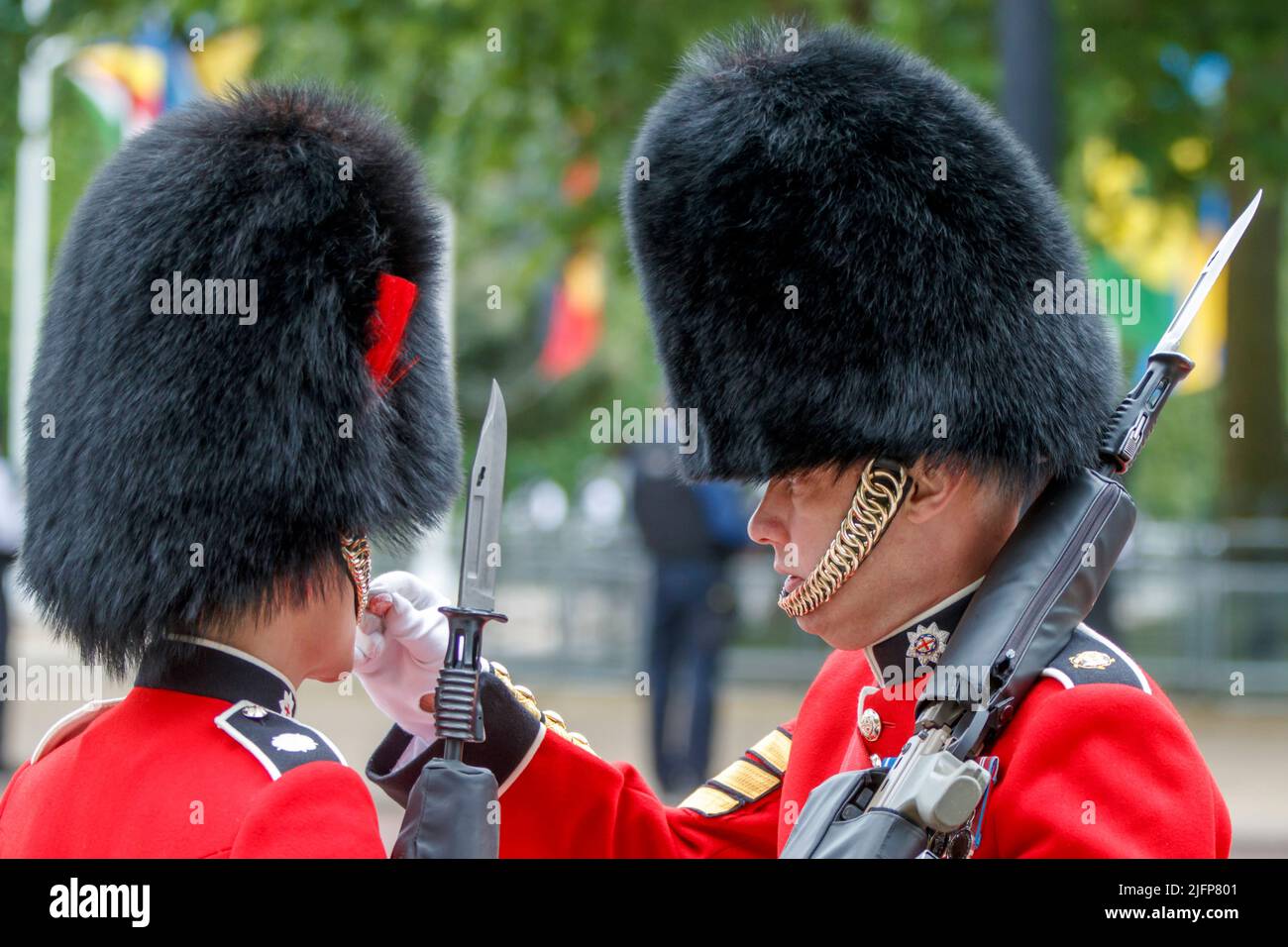 A Coldstream Guards street liner is fed a sweet by a sergeant at Trooping the Colour, Colonel’s Review in The Mall, London, England, United Kingdom Stock Photo