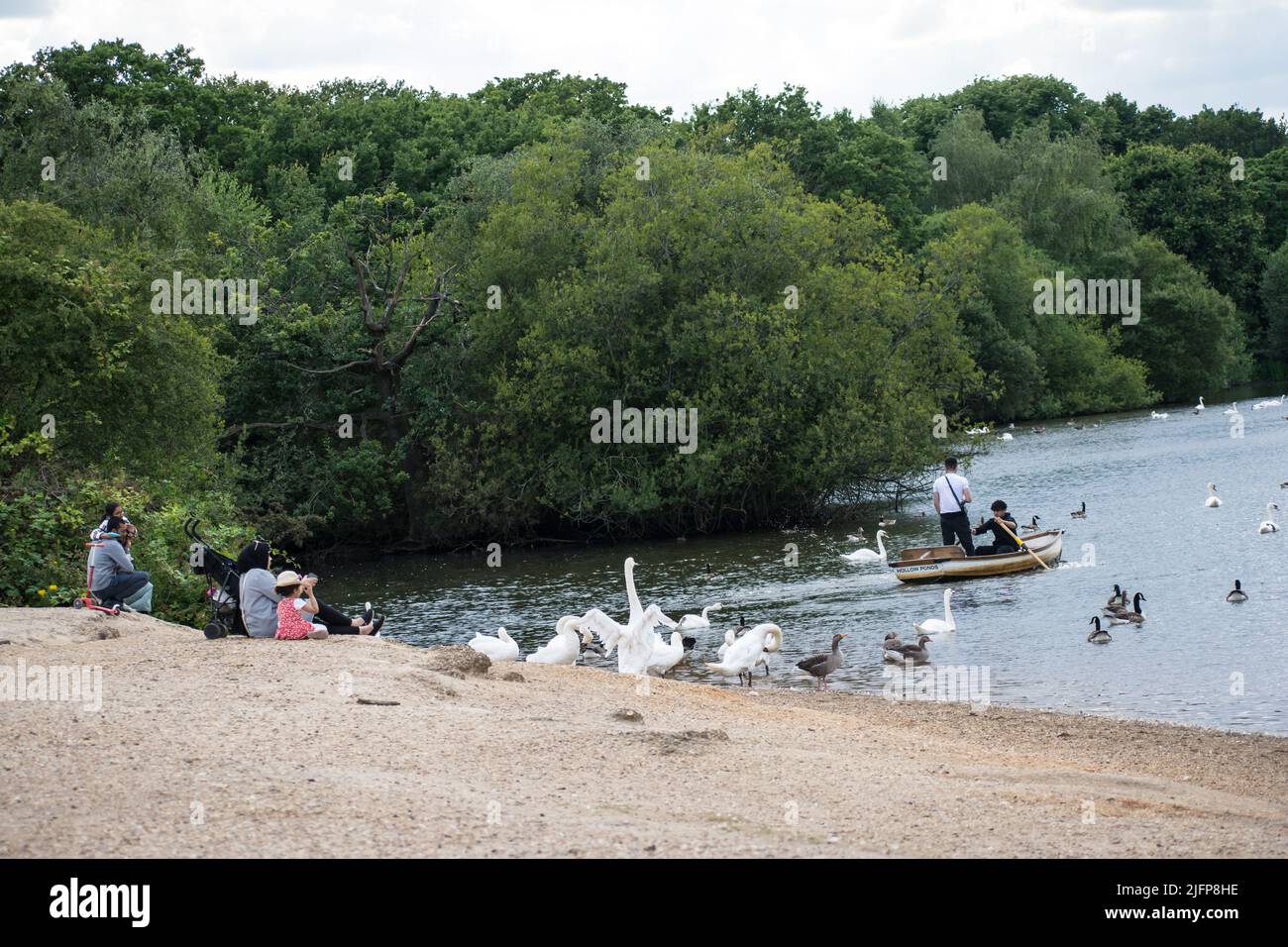 London, UK - 4 July 2022. A family looking at two young men rowing boat  at Hollow pond London, UK. 4 July 2022. Stock Photo