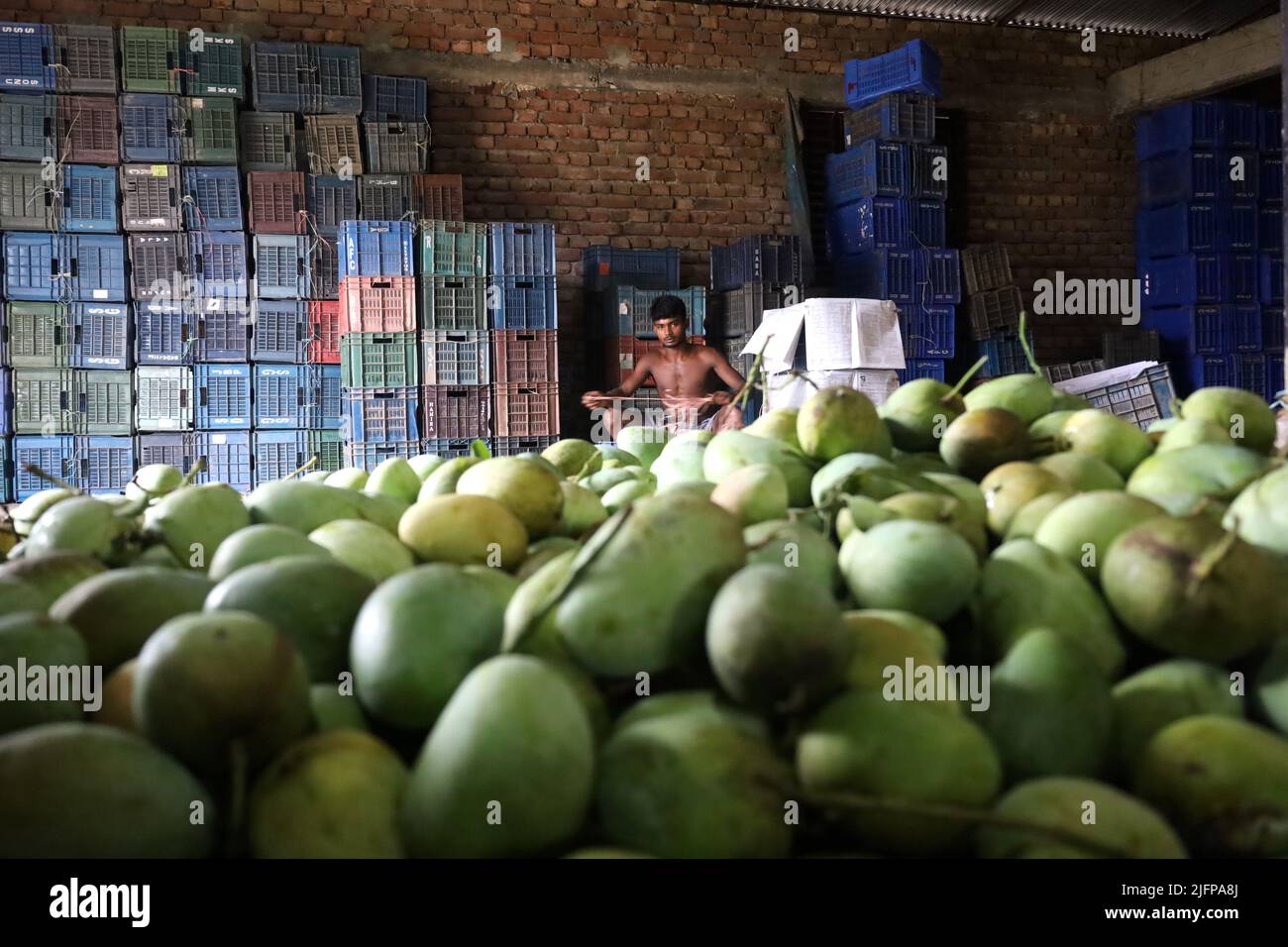 Kansat, Chapainawabgonj, Bangladesh. 4th July, 2022. Farmers are ...