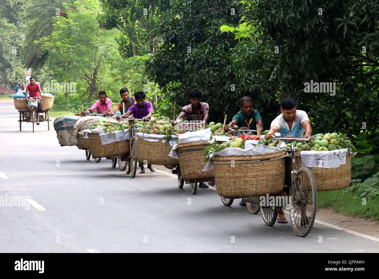Kansat, Chapainawabgonj, Bangladesh. 4th July, 2022. Farmers are ...