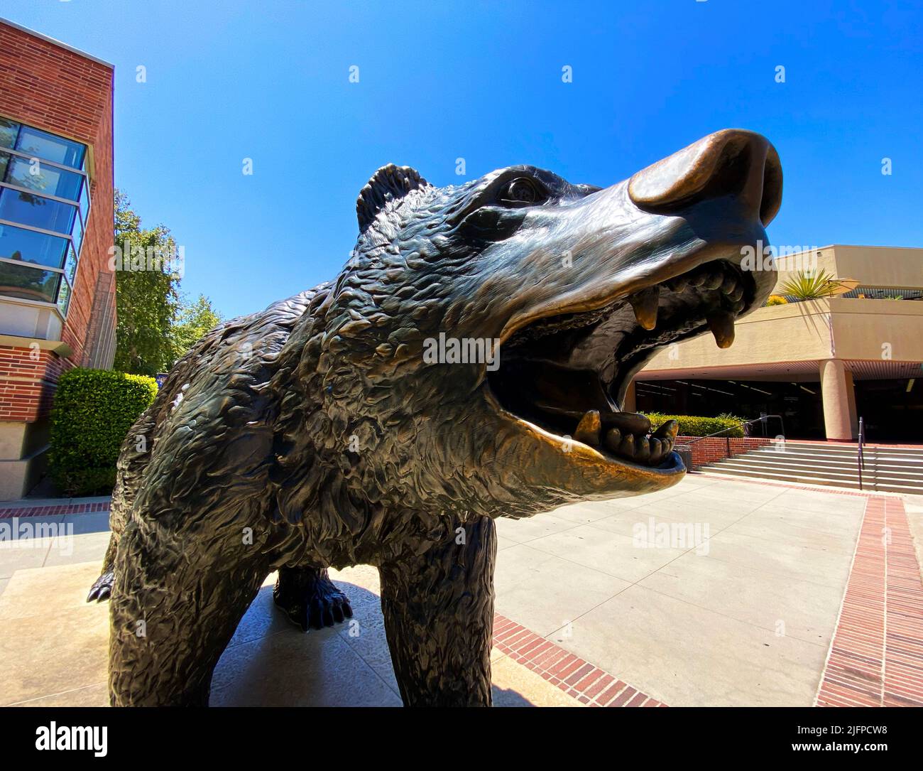 Statue bears animals hires stock photography and images Alamy
