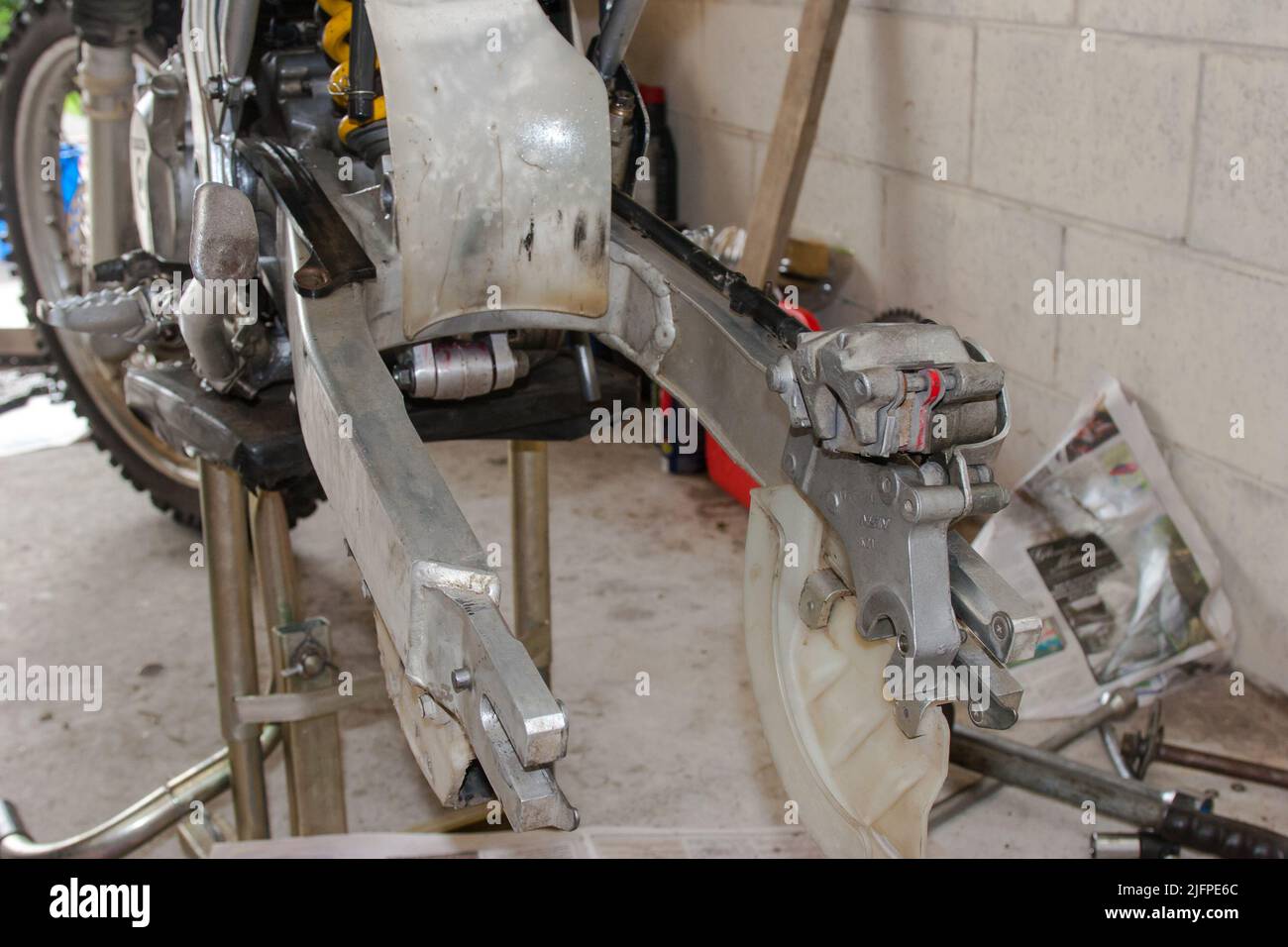 Life in New Zealand. Fishing, foraging, diving, gardening and sports