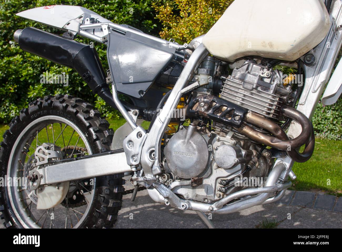 Life in New Zealand. Fishing, foraging, diving, gardening and sports