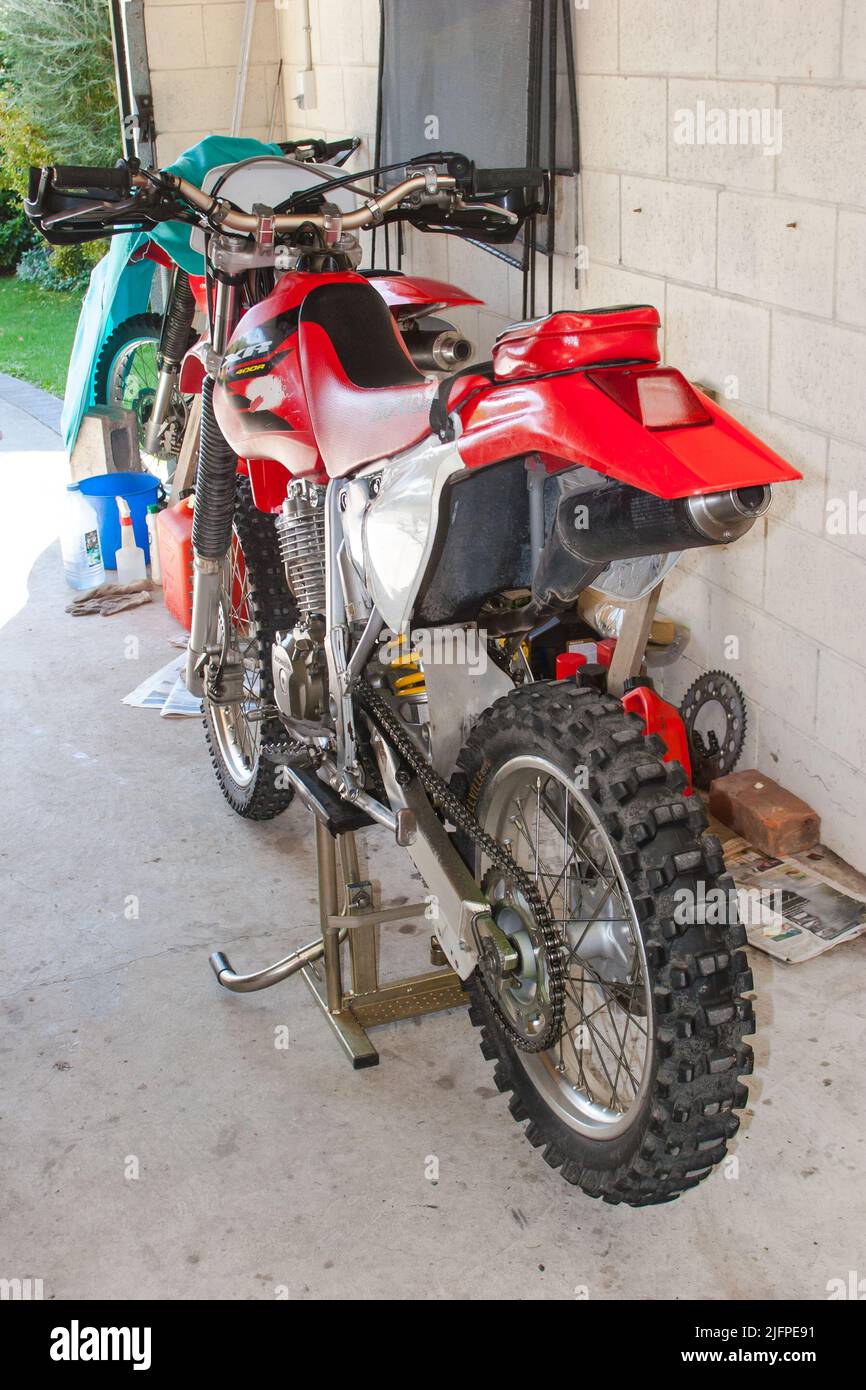 Life in New Zealand. Fishing, foraging, diving, gardening and sports