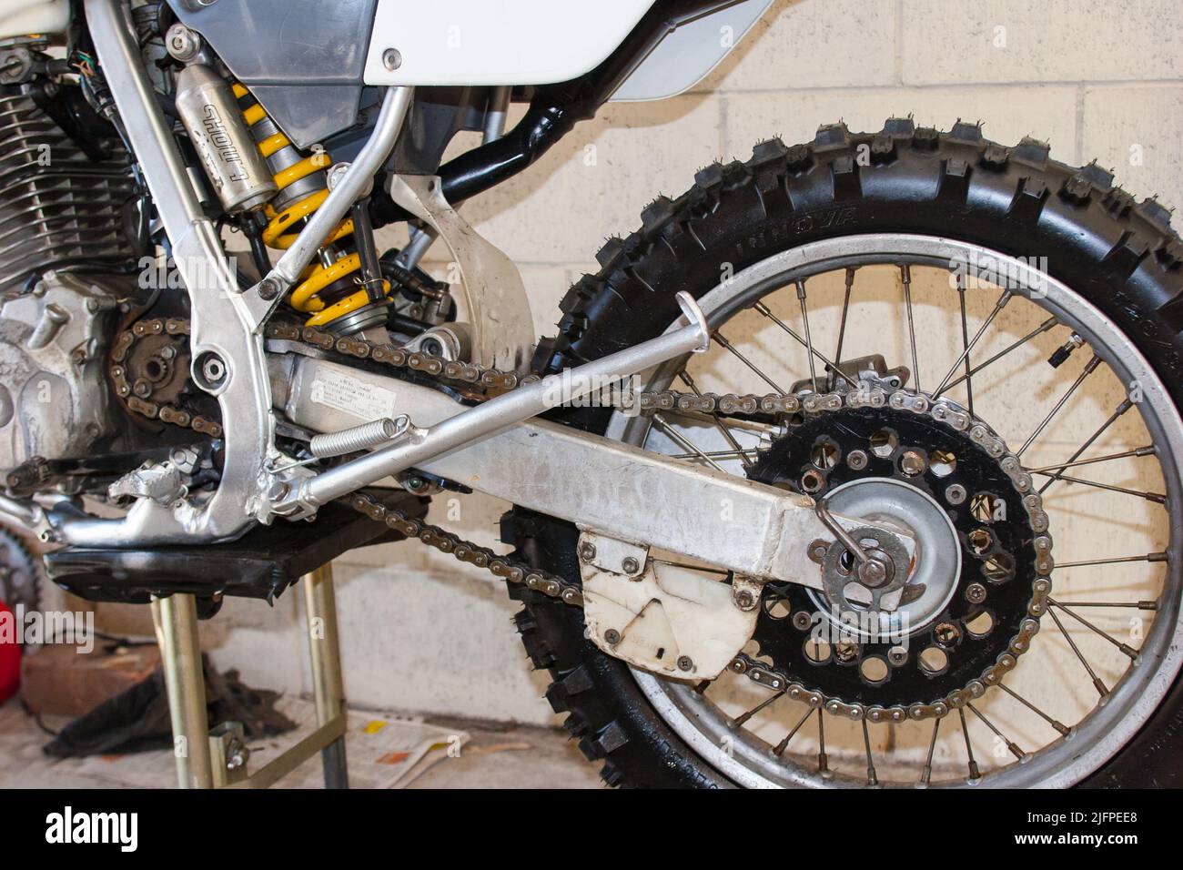 Life in New Zealand. Fishing, foraging, diving, gardening and sports