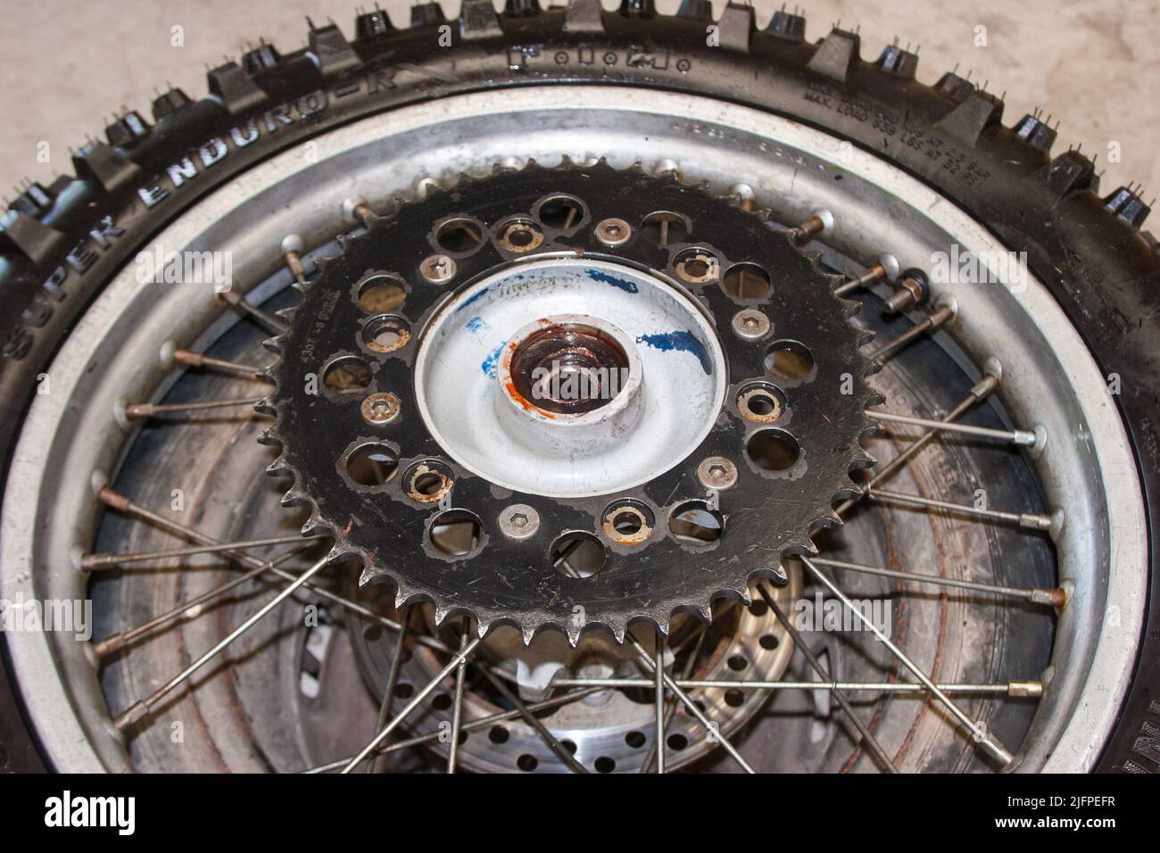 Life in New Zealand. Fishing, foraging, diving, gardening and sports