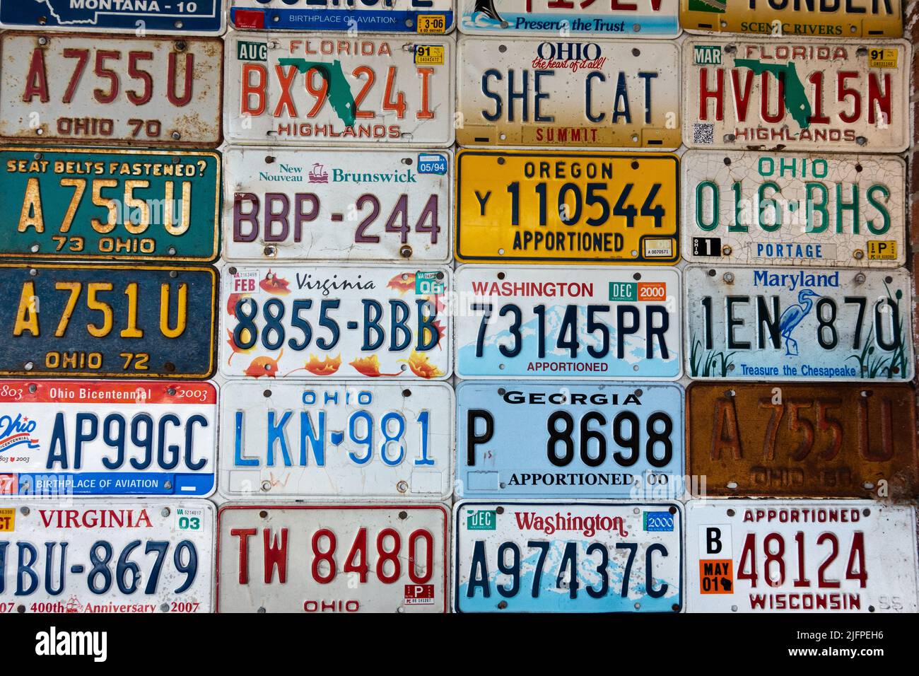 Various United States automobile license plates hung in rows on a wall Stock Photo