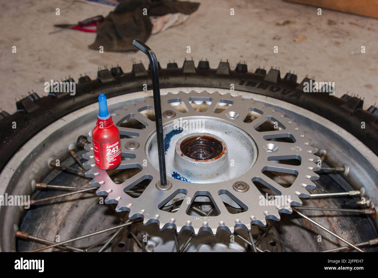 Life in New Zealand. Fishing, foraging, diving, gardening and sports