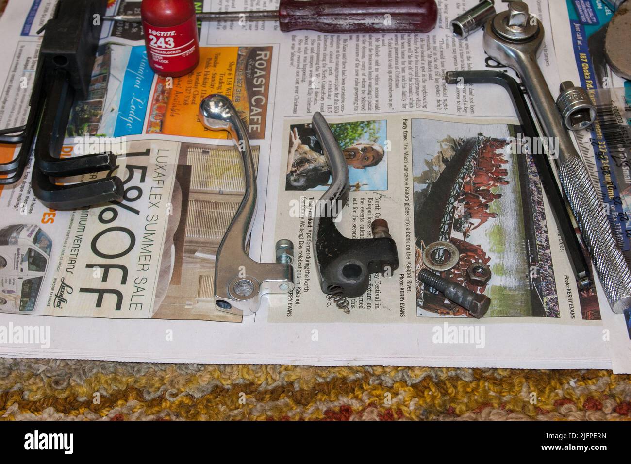 Life in New Zealand. Fishing, foraging, diving, gardening and sports