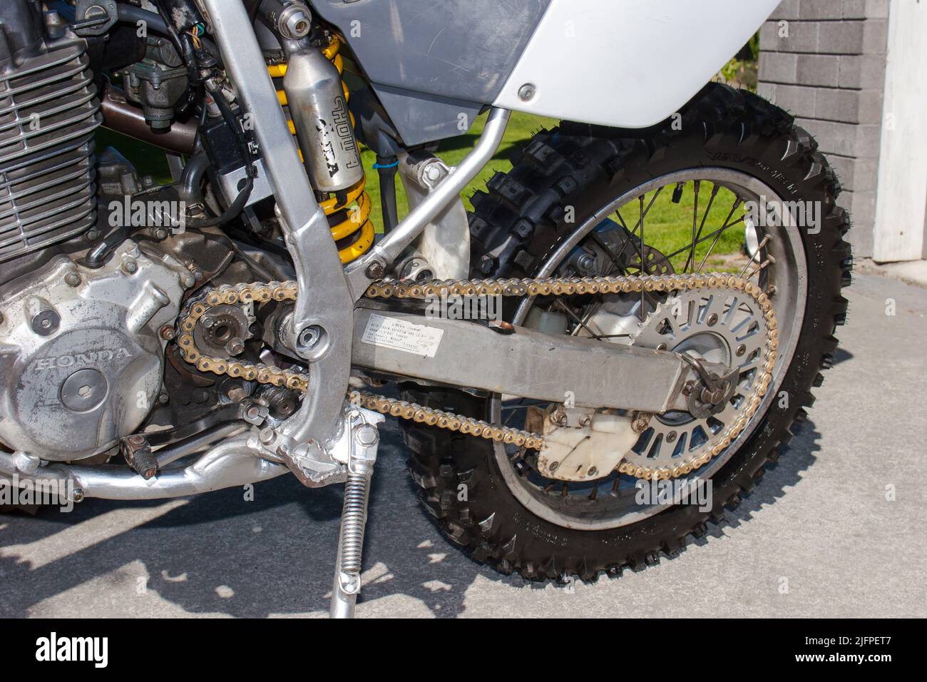 Life in New Zealand. Fishing, foraging, diving, gardening and sports