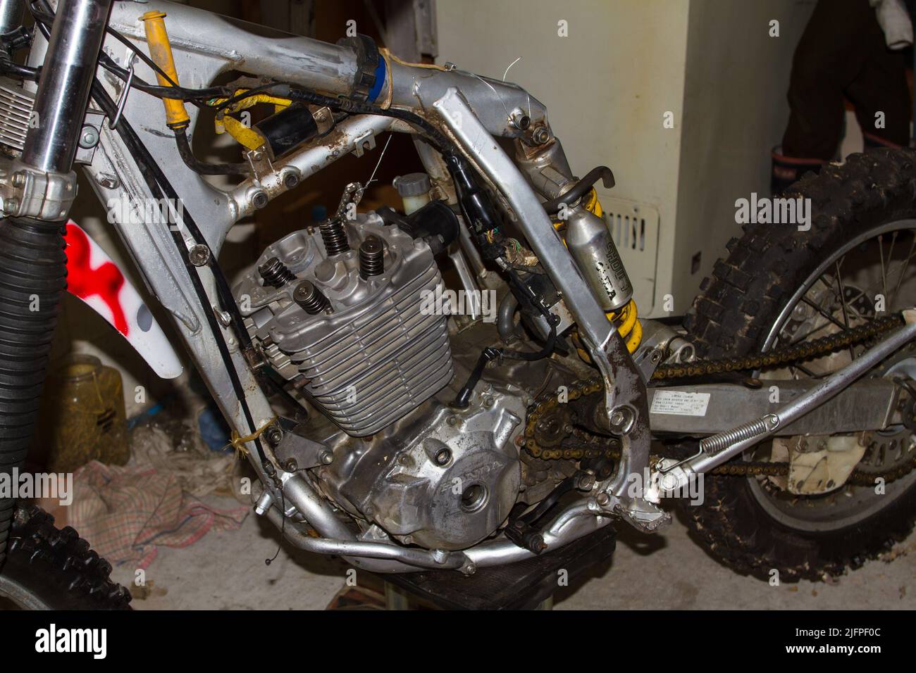 Life in New Zealand. Fishing, foraging, diving, gardening and sports