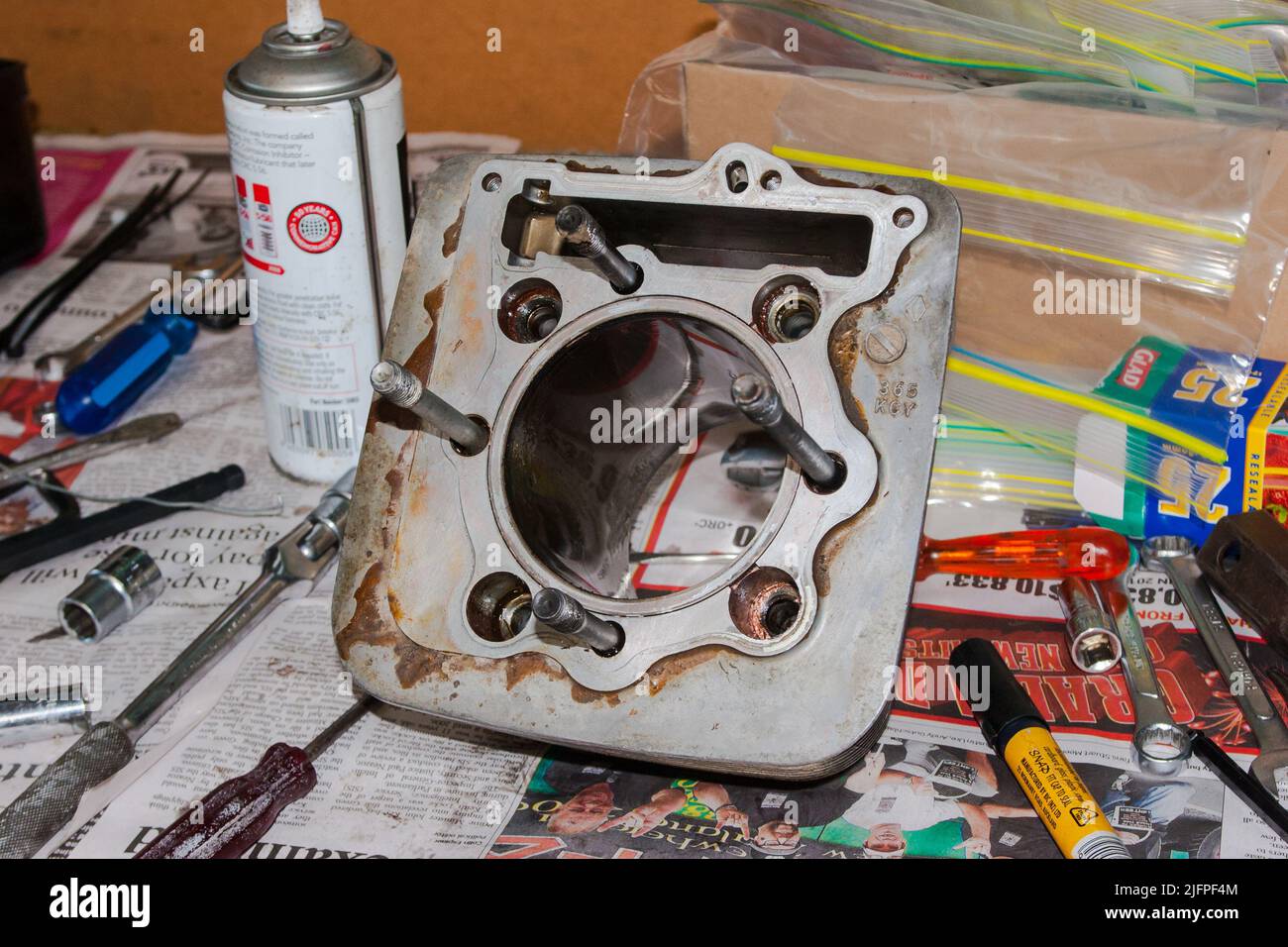 Life in New Zealand. Fishing, foraging, diving, gardening and sports