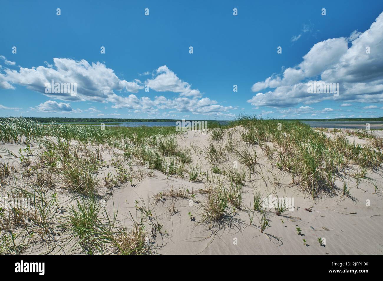 Sand dunes on the perimeter of Big Glace Bay Beach Cape Breton Nova