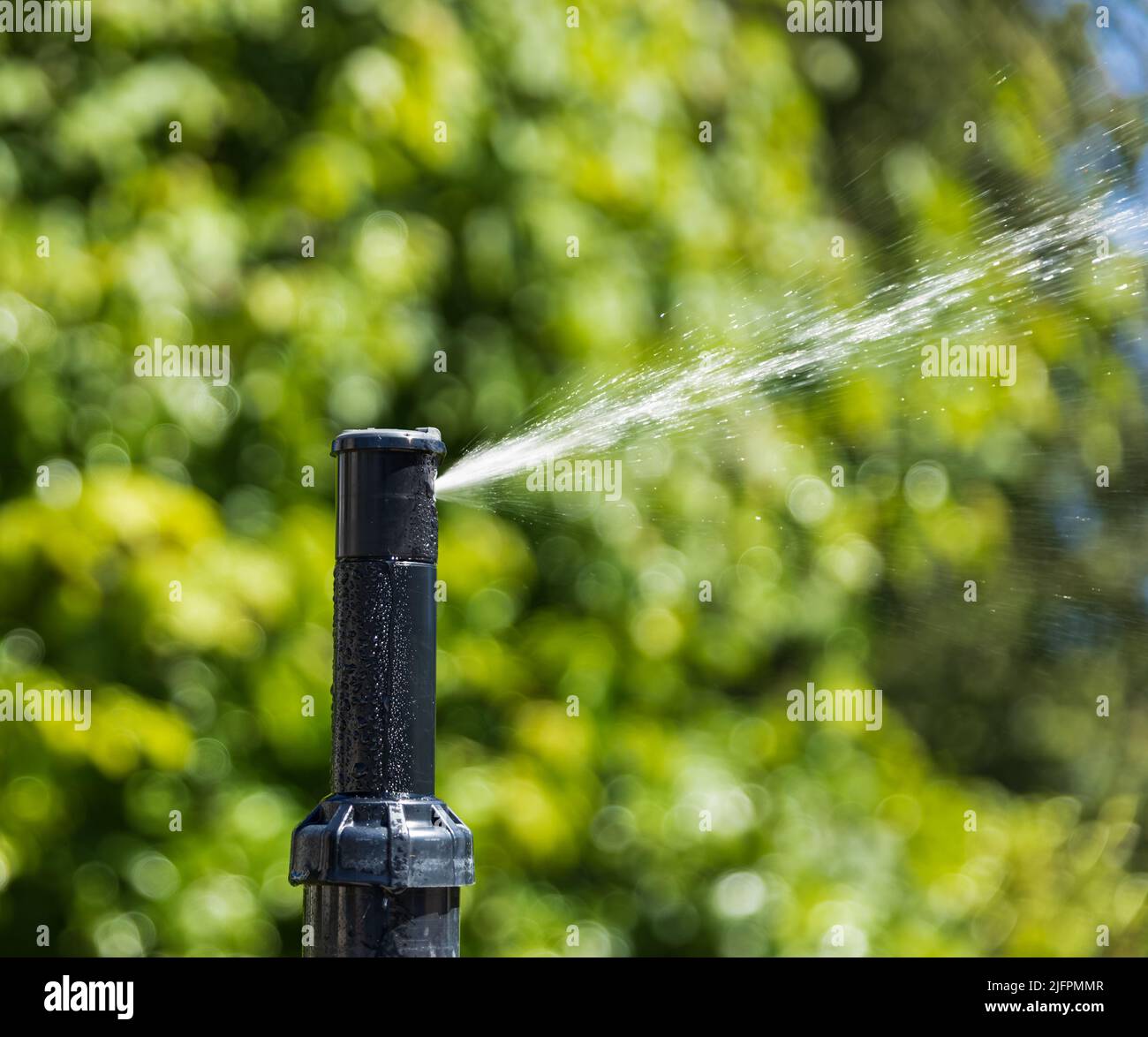 Automatic sprinklers watering grass. Garden Watering Systems