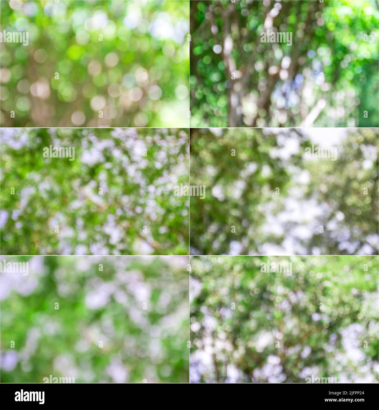 Blur image of abstract bokeh of green tree color background Stock Photo ...