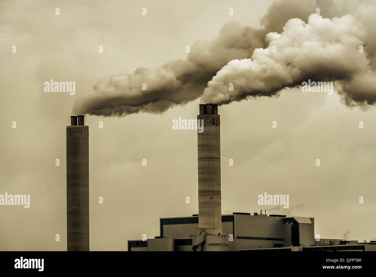 Why Is There Smoke Coming Out Of My Chimney at William Pyron blog