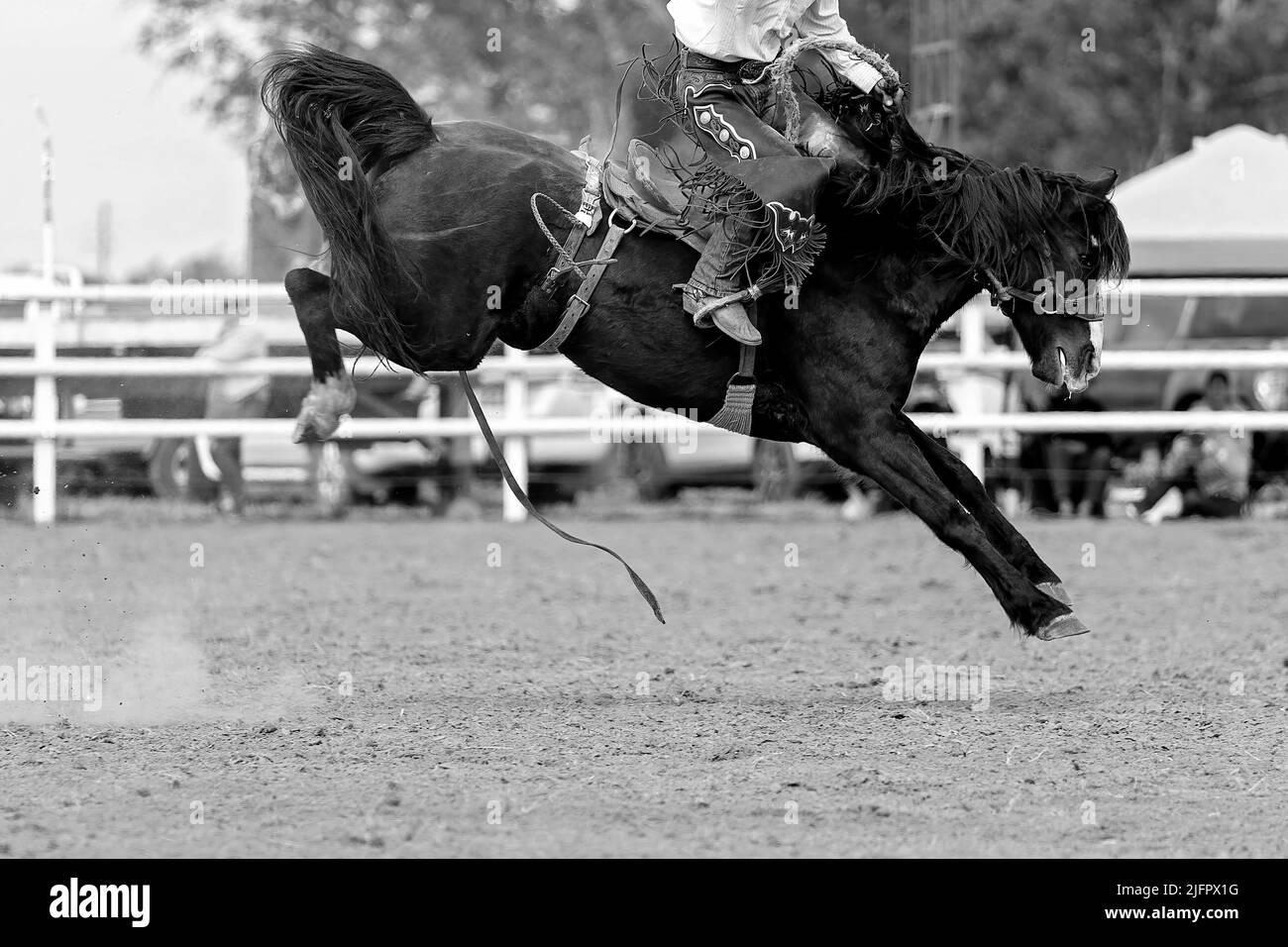 Riding spur riding Black and White Stock Photos & Images - Alamy