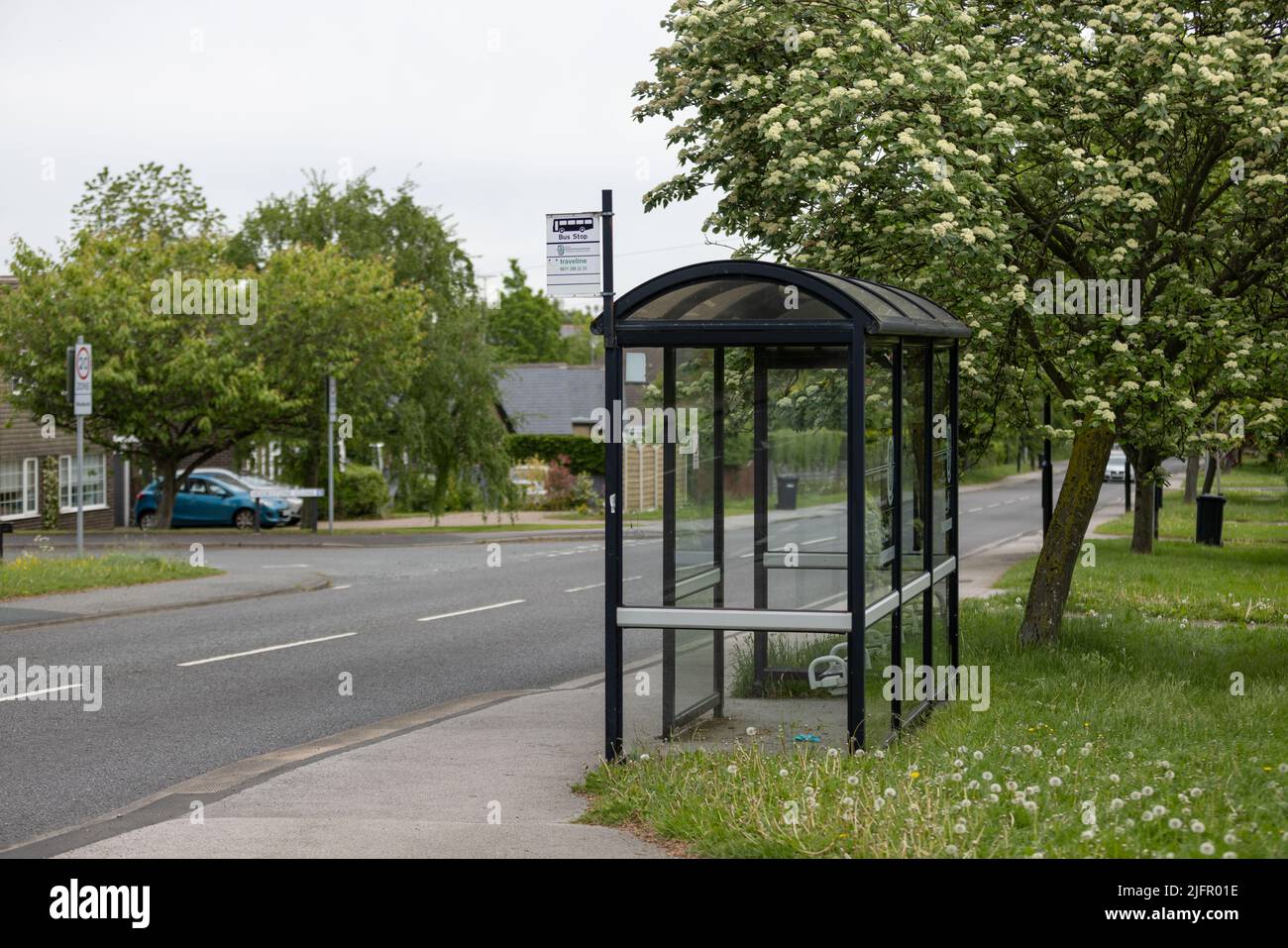 Public bus stop by a road in Harrogate, Yorkshire under a tree and on the grass Stock Photo