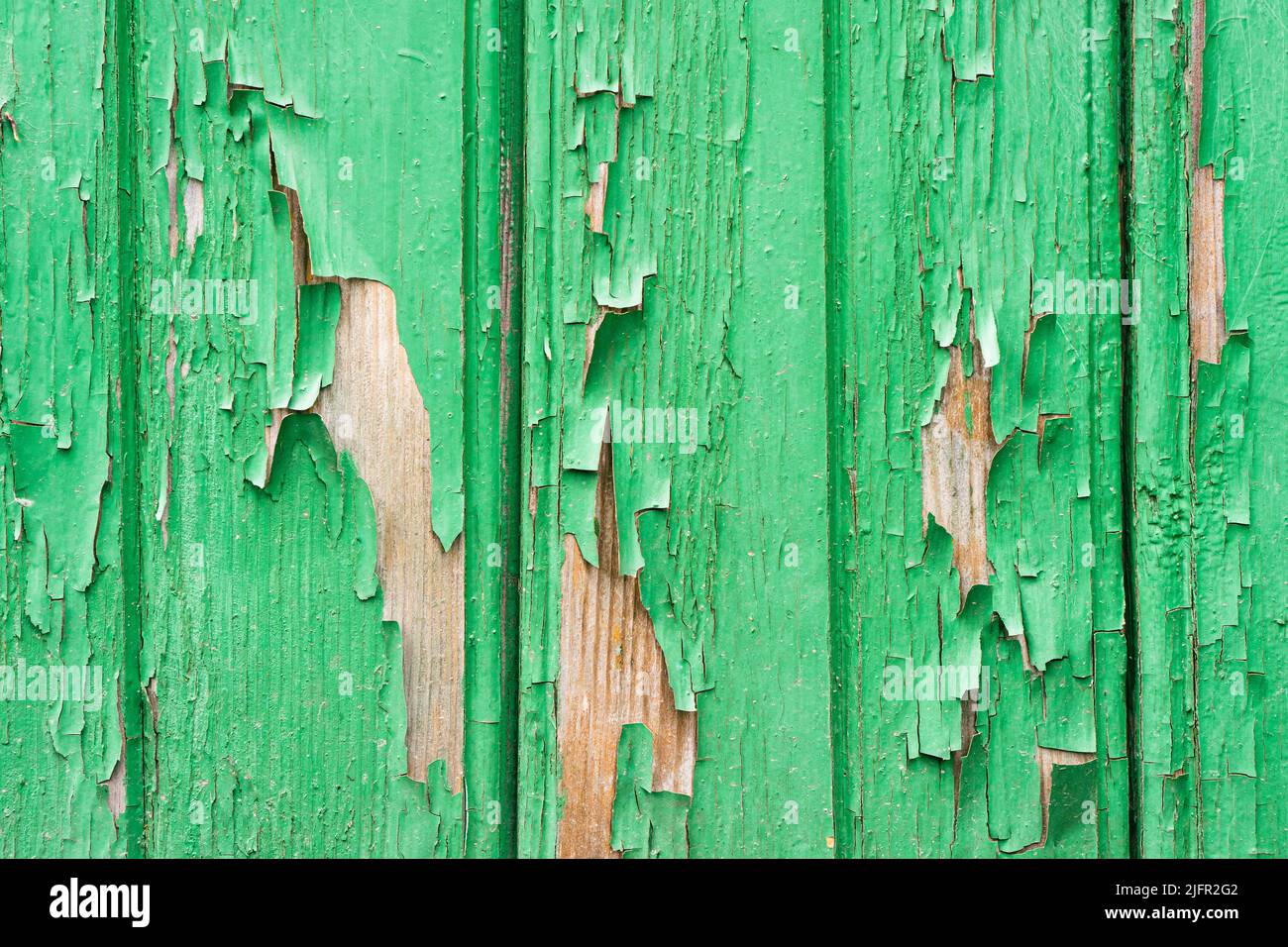 Old wooden planks with cracked peeling green paint. Painted texture