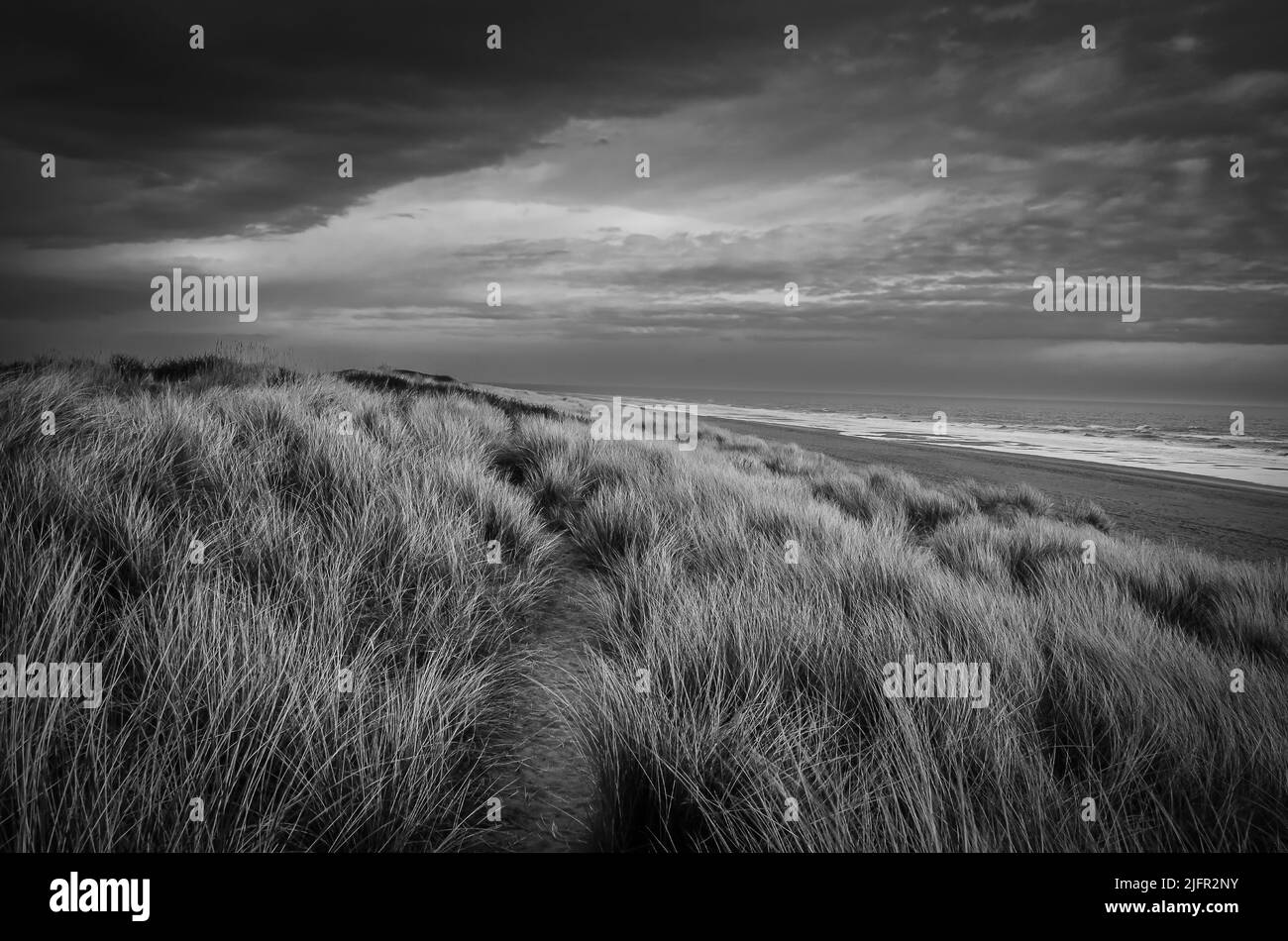 Mono landscape of coastal dunes Stock Photo