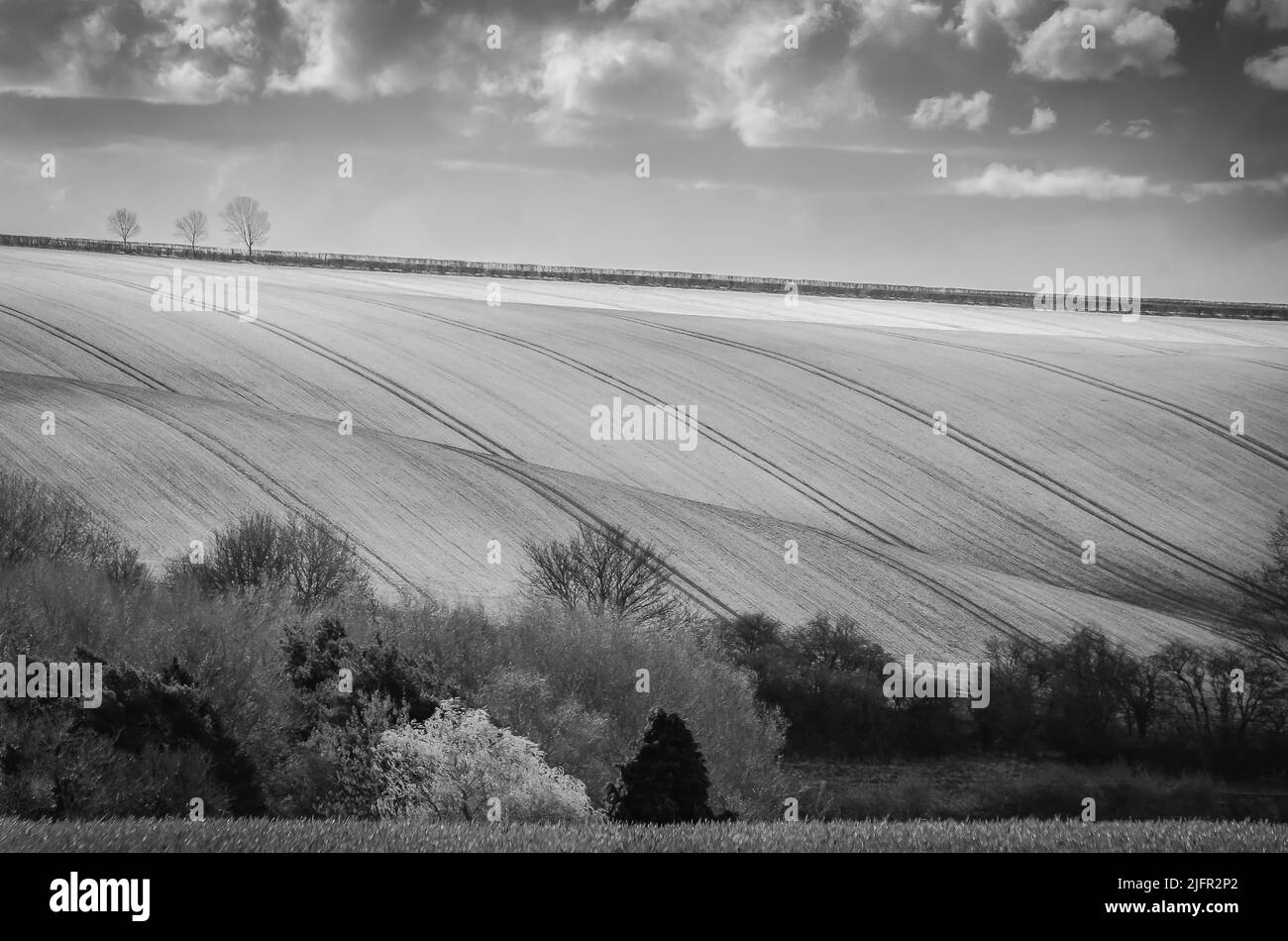 Black & white landscape of Lincolnshire wolds Stock Photo