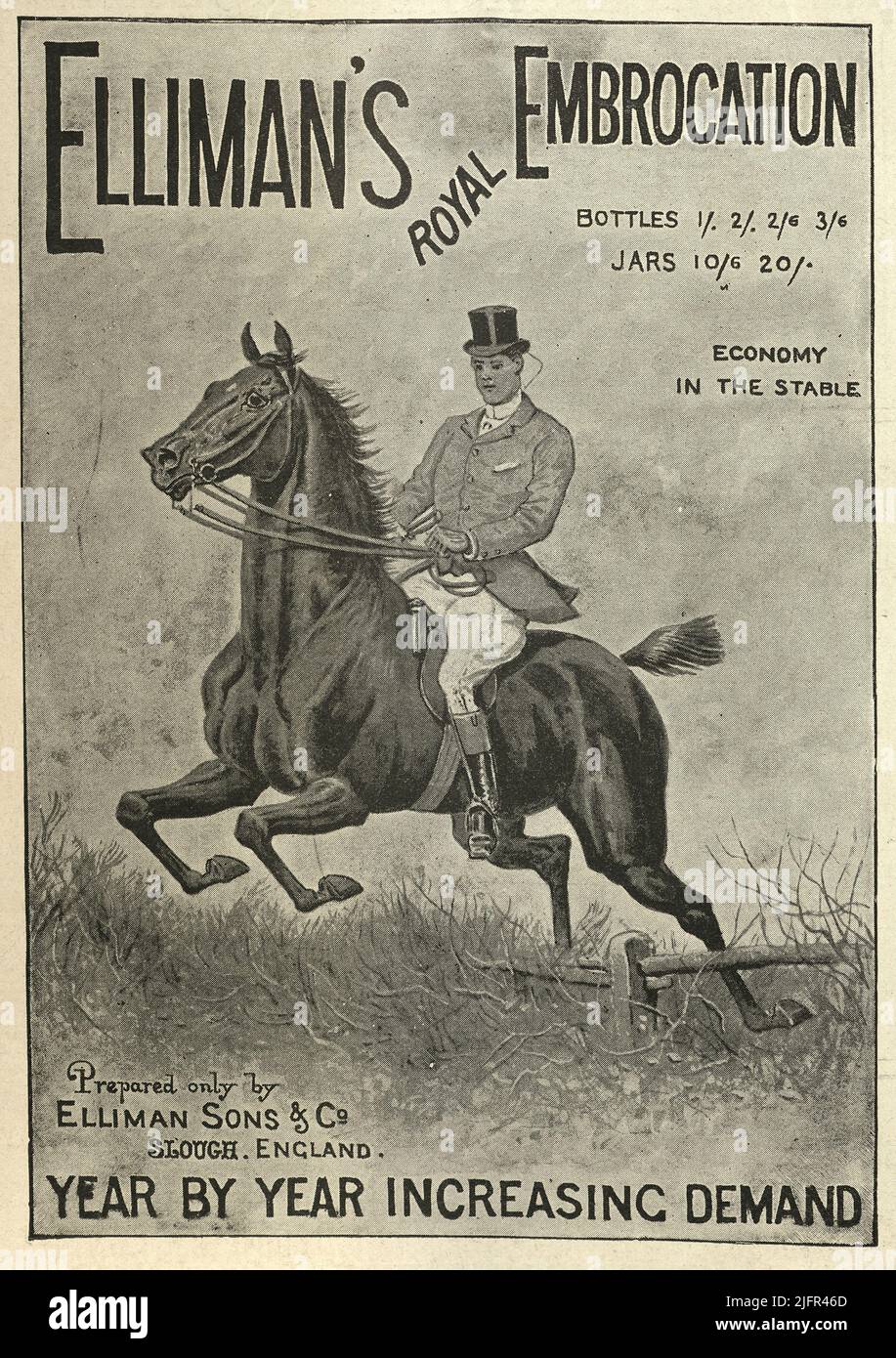 Victorian advert for Elliman's Royal Embrocation, Huntsman riding horse, jumping fence, 1890s 19th Century Stock Photo