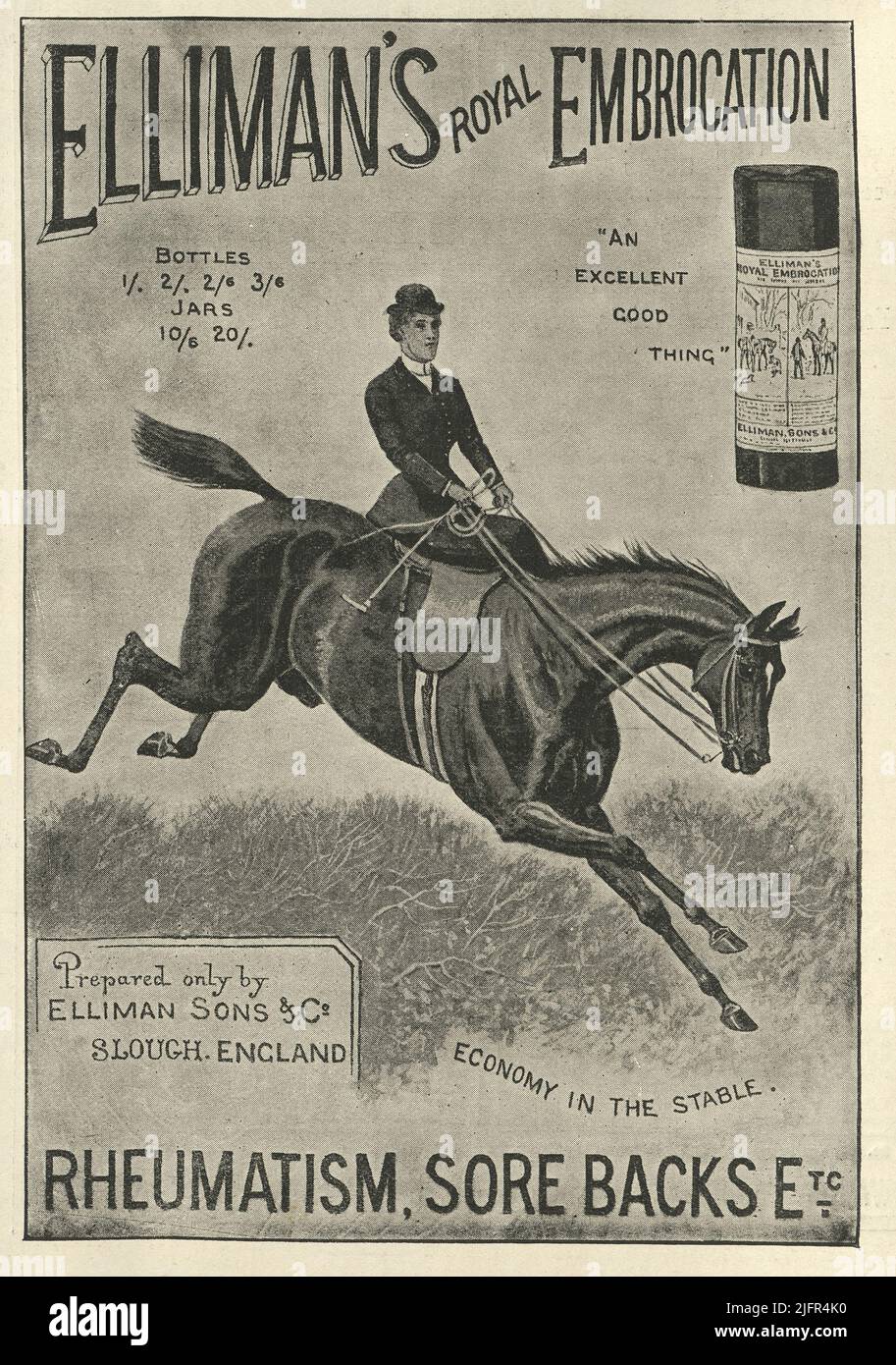 Victorian newspaper advert Elliman's Royal Embrocation, Woman riding horse side saddle, 1890s Stock Photo