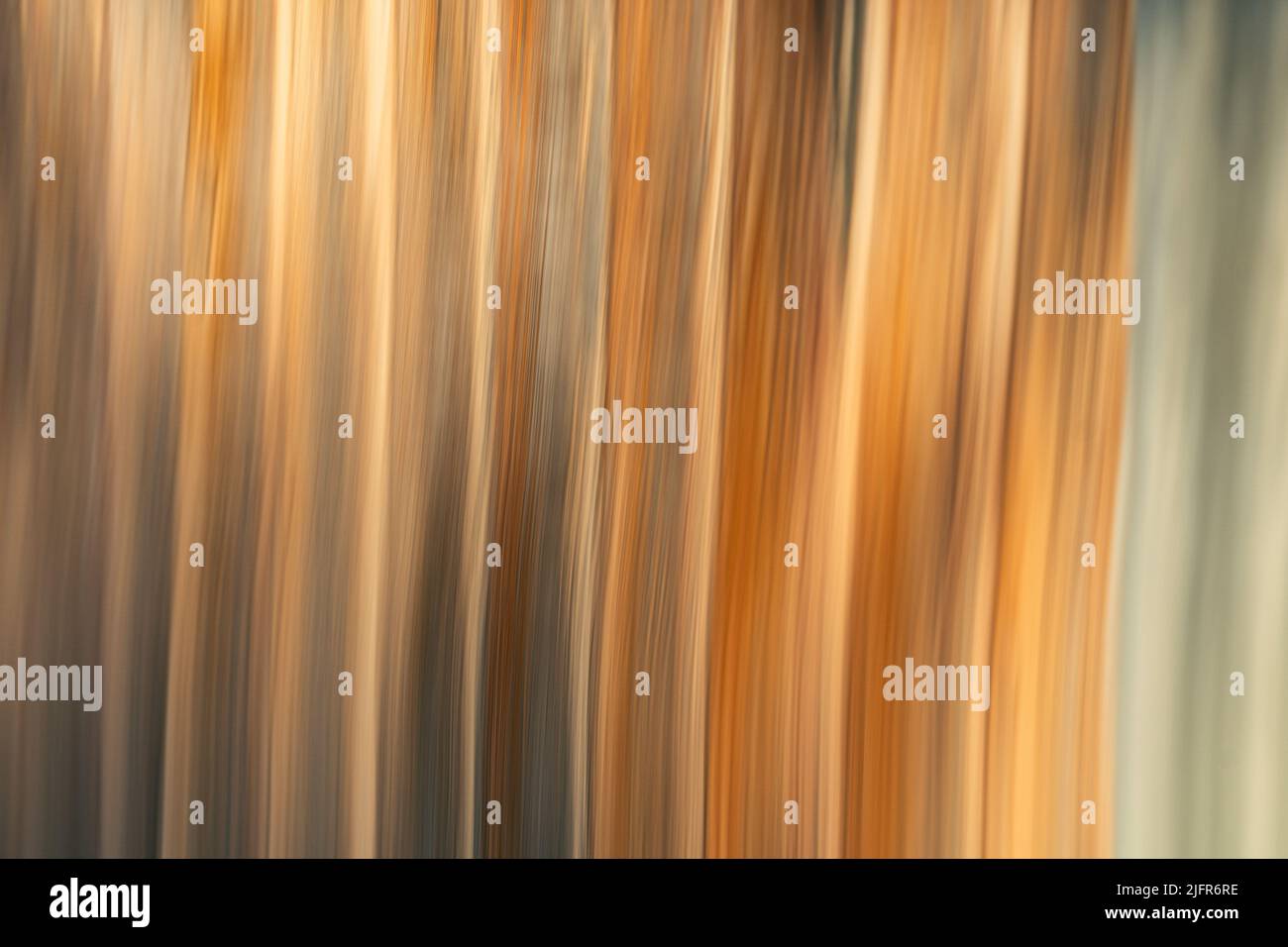 Abstract linear ICM (Intentional camera movement) image in golden earthy tones Stock Photo