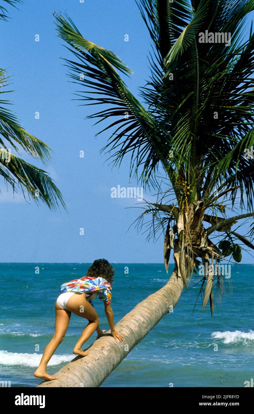 Pretty girl climbing on pal tree tropical beach Stock Photo