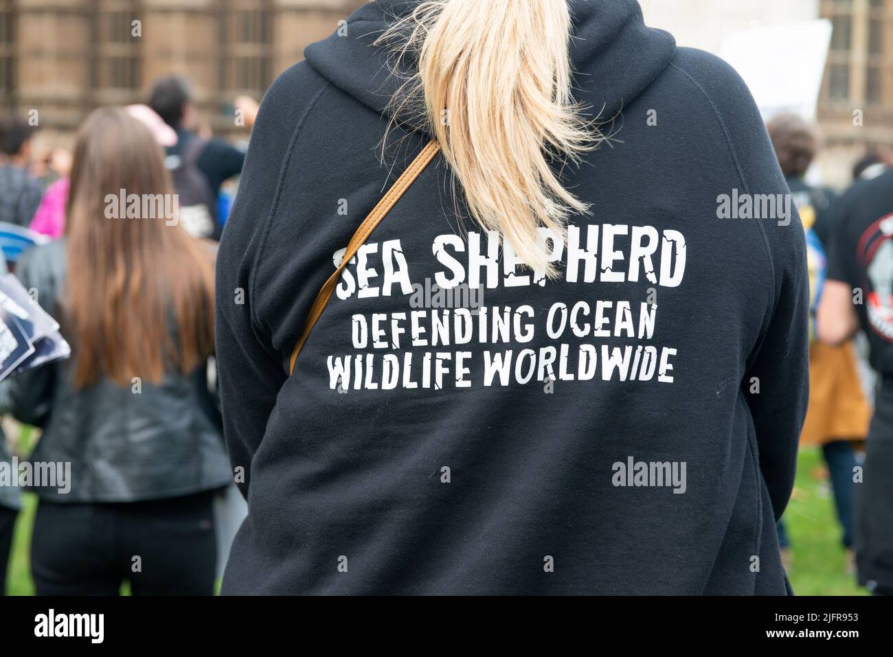 Protest outside Westminster, London, where protesters are campaigning to put a stop to the slaughter of dolphins and whales in the Faroe Islands, Stock Photo
