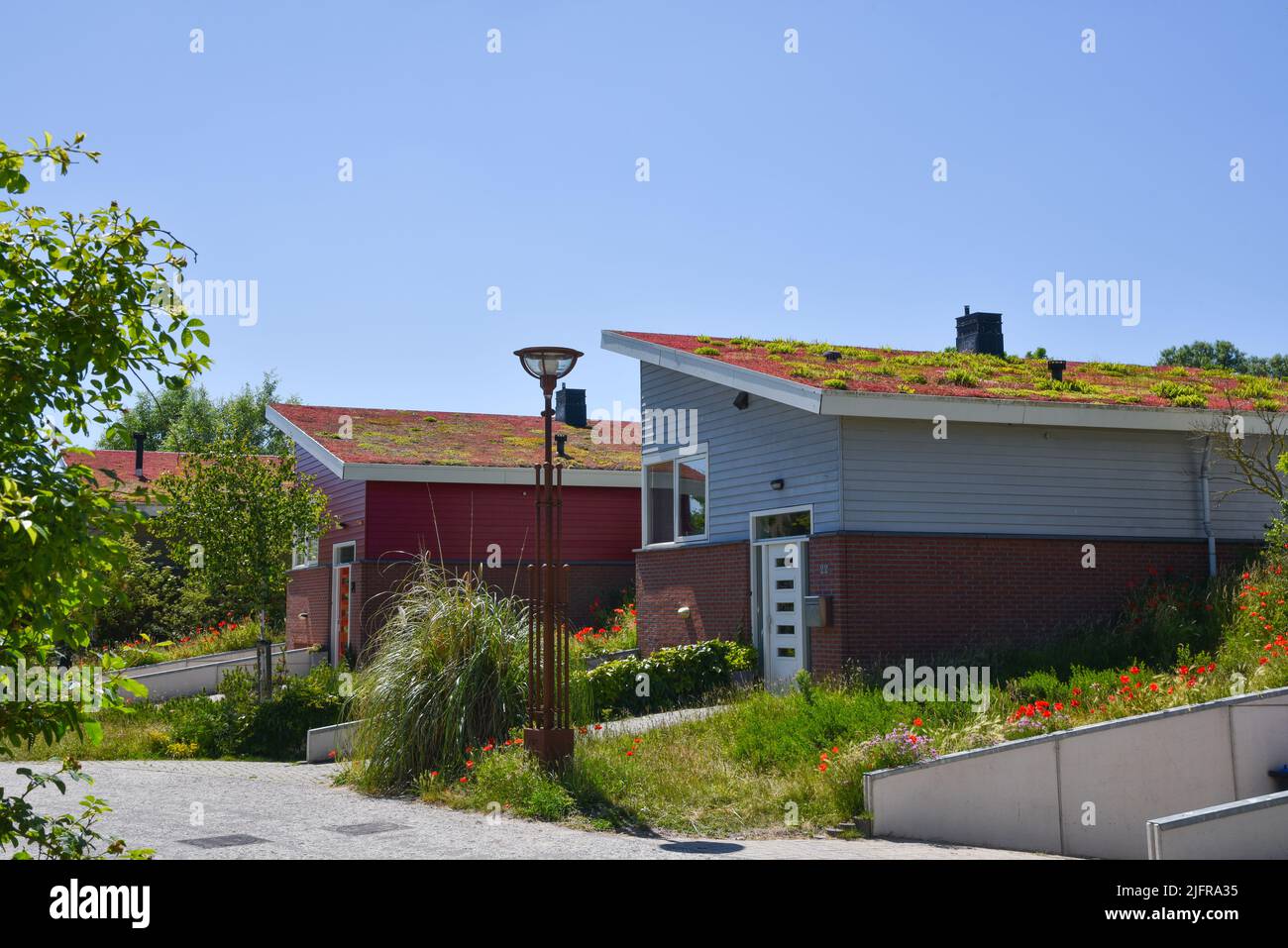 Den Helder, Netherlands. June 2022. Environmentally friendly roofs in a residential area in Den Helder. High quality photo Stock Photo