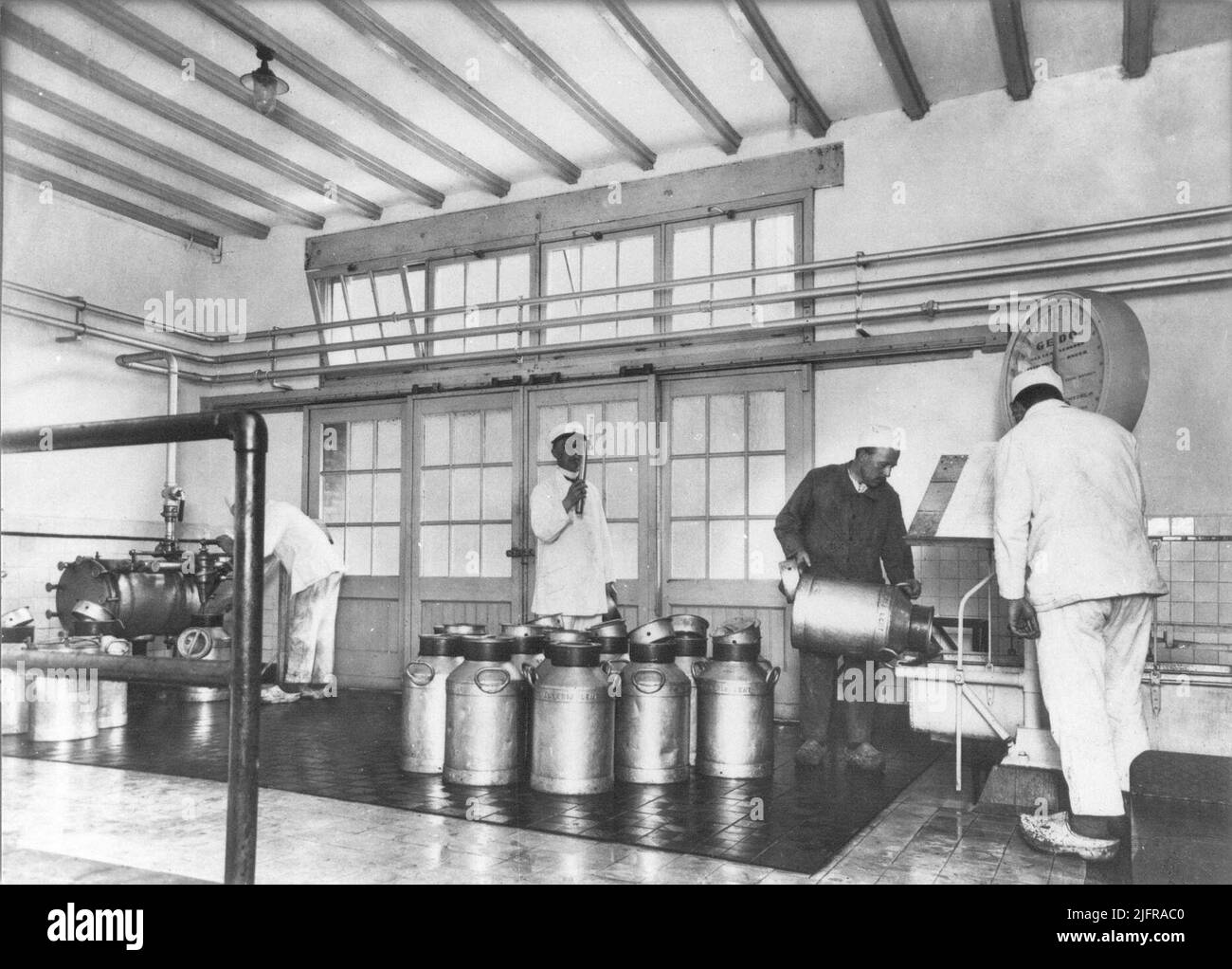 Processing of milk cans at Melkerij Lent Stock Photo Alamy