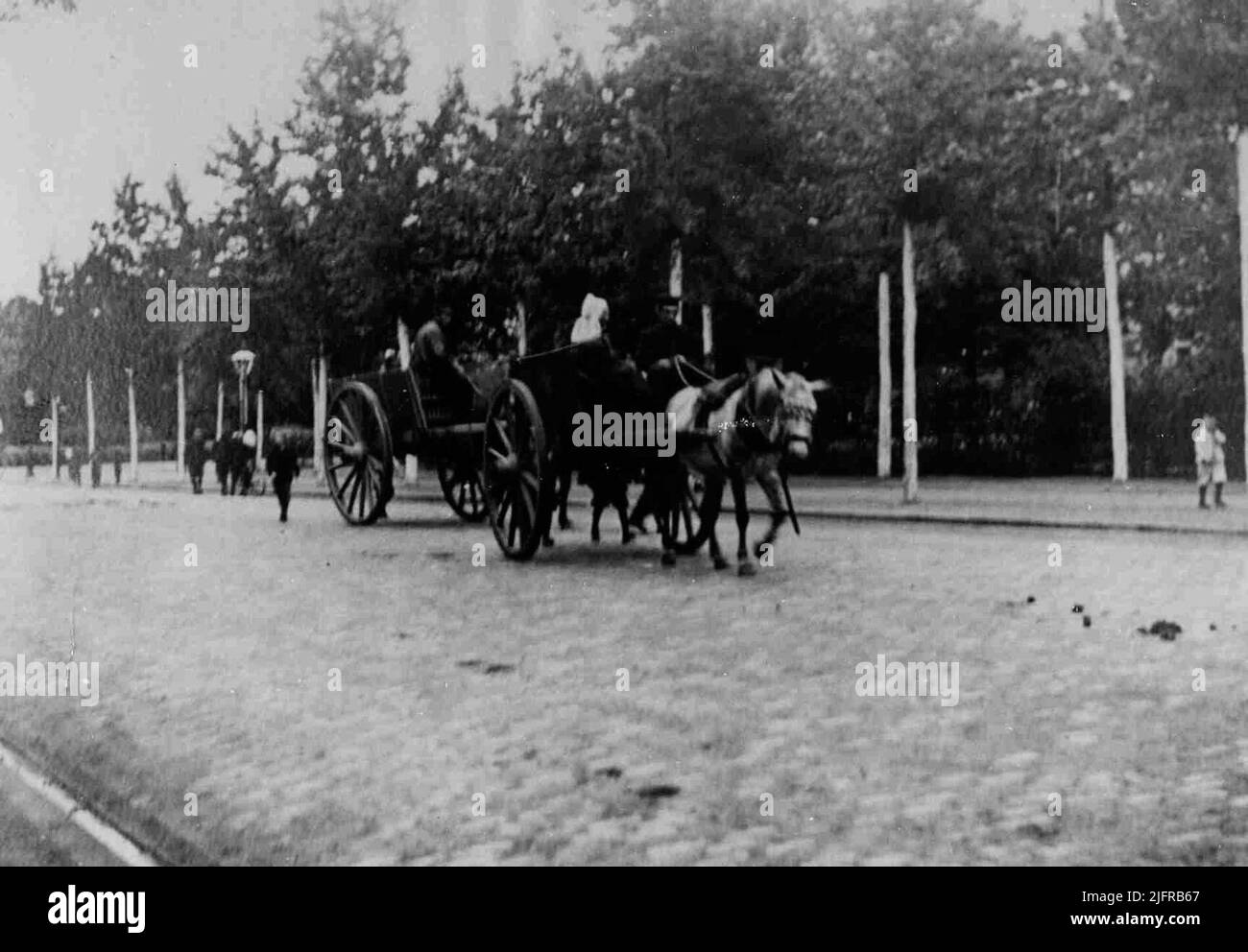 Farm wagons on the Graafseweg, coming from the market. Stock Photo