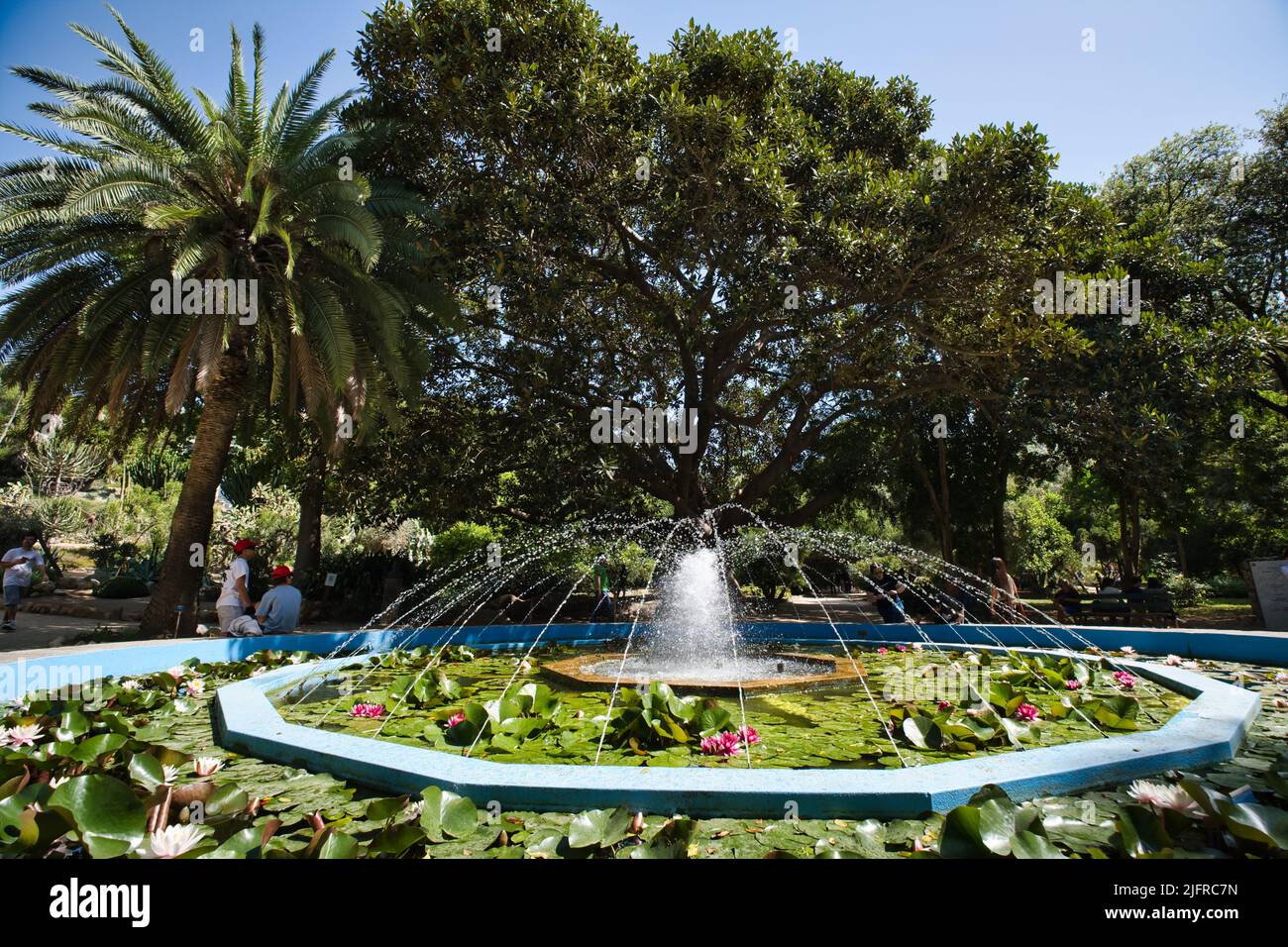 Large fountain with splashes of water at the Botanical Garden in