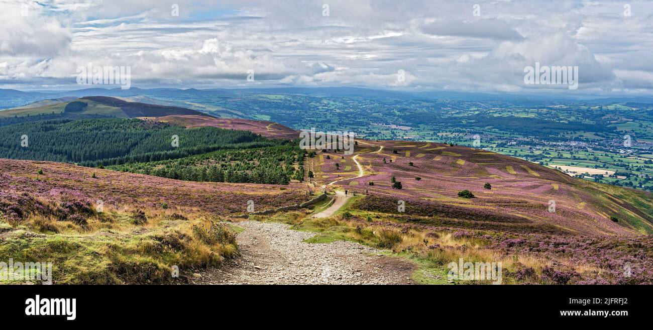 Looking south east from the summit of Moel Famau in the Clwydian Mountain Range with the Clwyd Forest and Vale of Clwyd in background North Wales UK Stock Photo