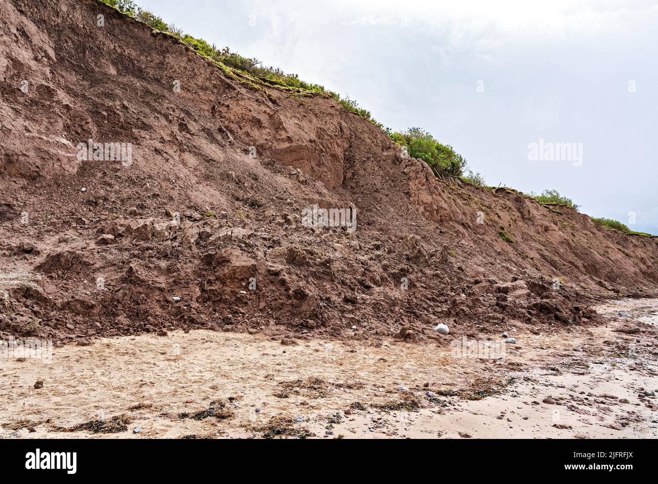 Thurstaston cliffs showing erosion after long period of heavy rain and tidal erosion from below causing collapse and mud slides River Dee Estuary UK Stock Photo