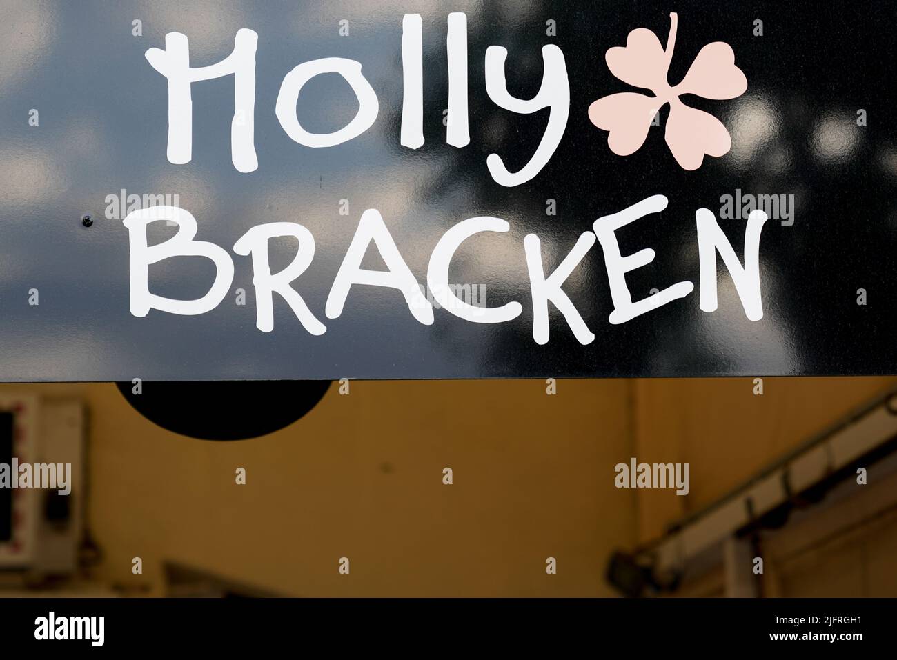 Molly Bracken Logo Shirt Molly Bracken Ladies Knitted Sweater N240CE molly-bracken-logo-shirt-molly-bracken-ladies-knitted-sweater-n240ce