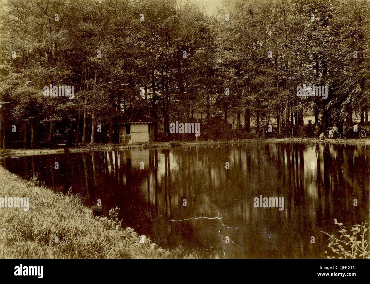 Forest pond with bathing booth Stock Photo Alamy