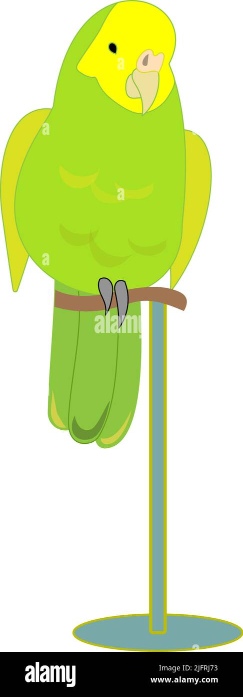 A green budgerigar with white background Stock Vector