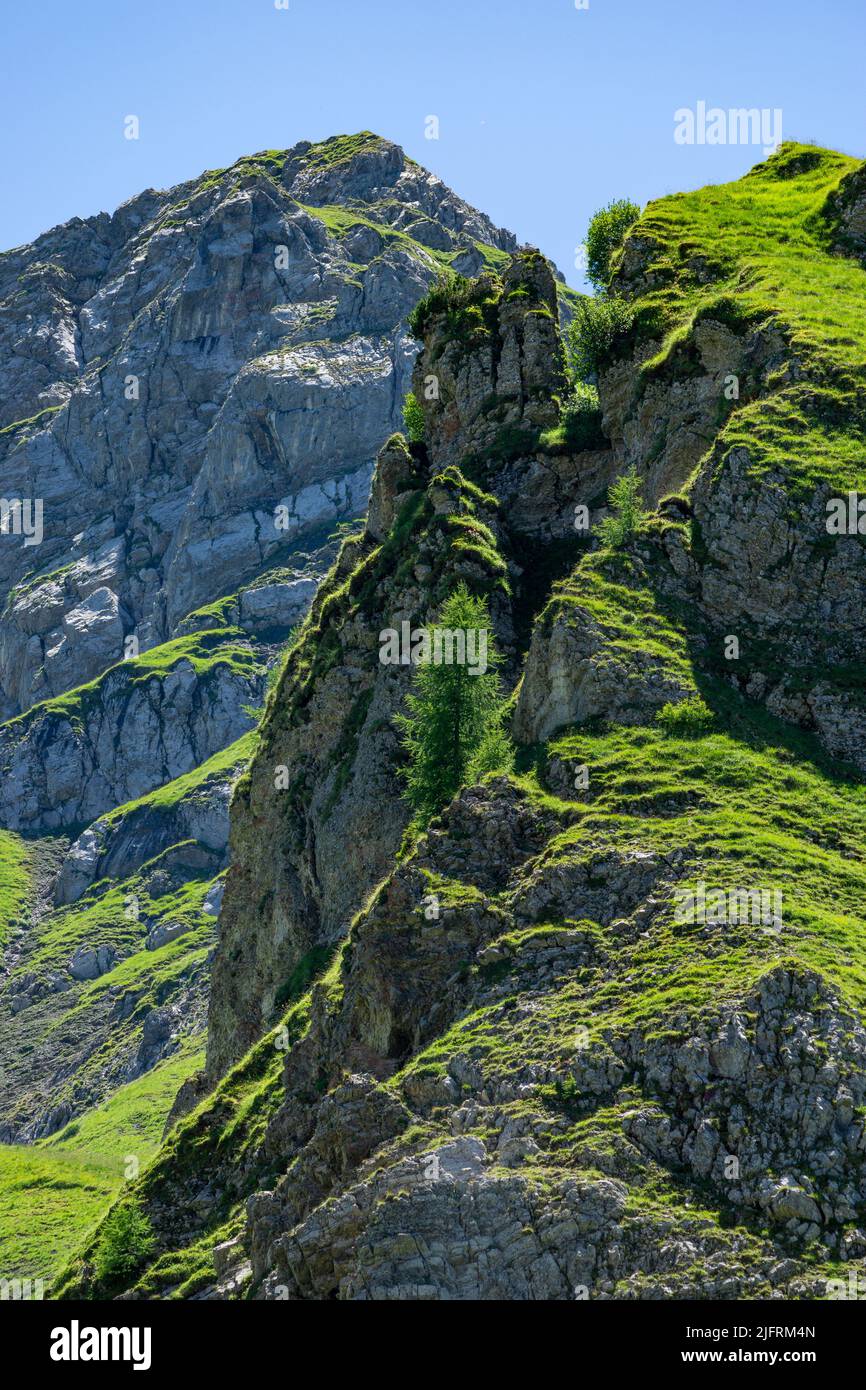 rocky mountains with steep stony slopes with meadows. summer day with blue sky. Mountain with deep ditches and furrows where debris falls down Stock Photo
