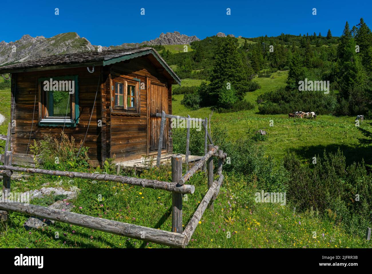 little wooden hut on alpine meadow. On a flower-strewn hill stands a cabin in the Brand valley mountains. By the dirty road stand a alpine barn Stock Photo