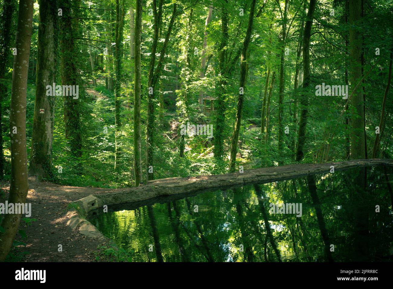 reflections from the green trees in the water in luxembourg Stock Photo