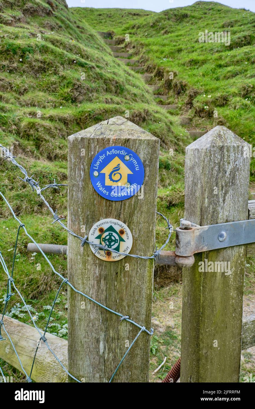 A gate with markers for the Wales Coast Path and North Wales Pilgrim Way on the Llyn Peninsula Stock Photo