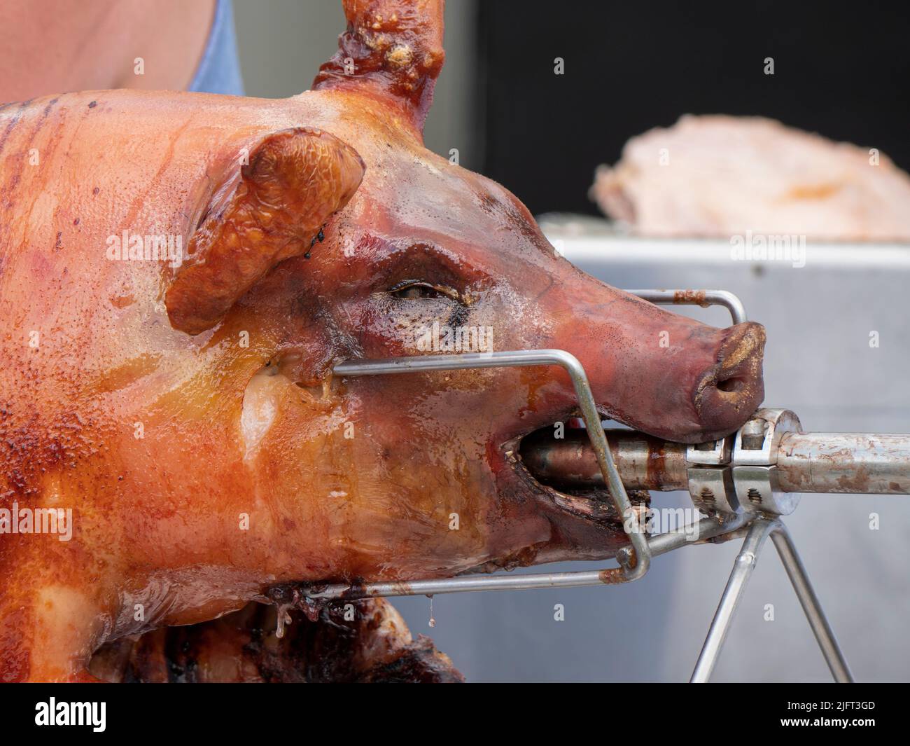 Close up of a grilled suckling pig on a spit Stock Photo