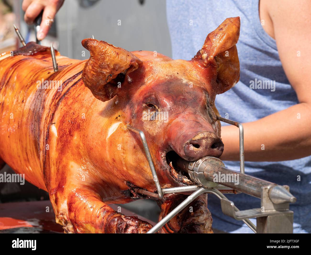 Front of a grilled suckling pig on a spit Stock Photo